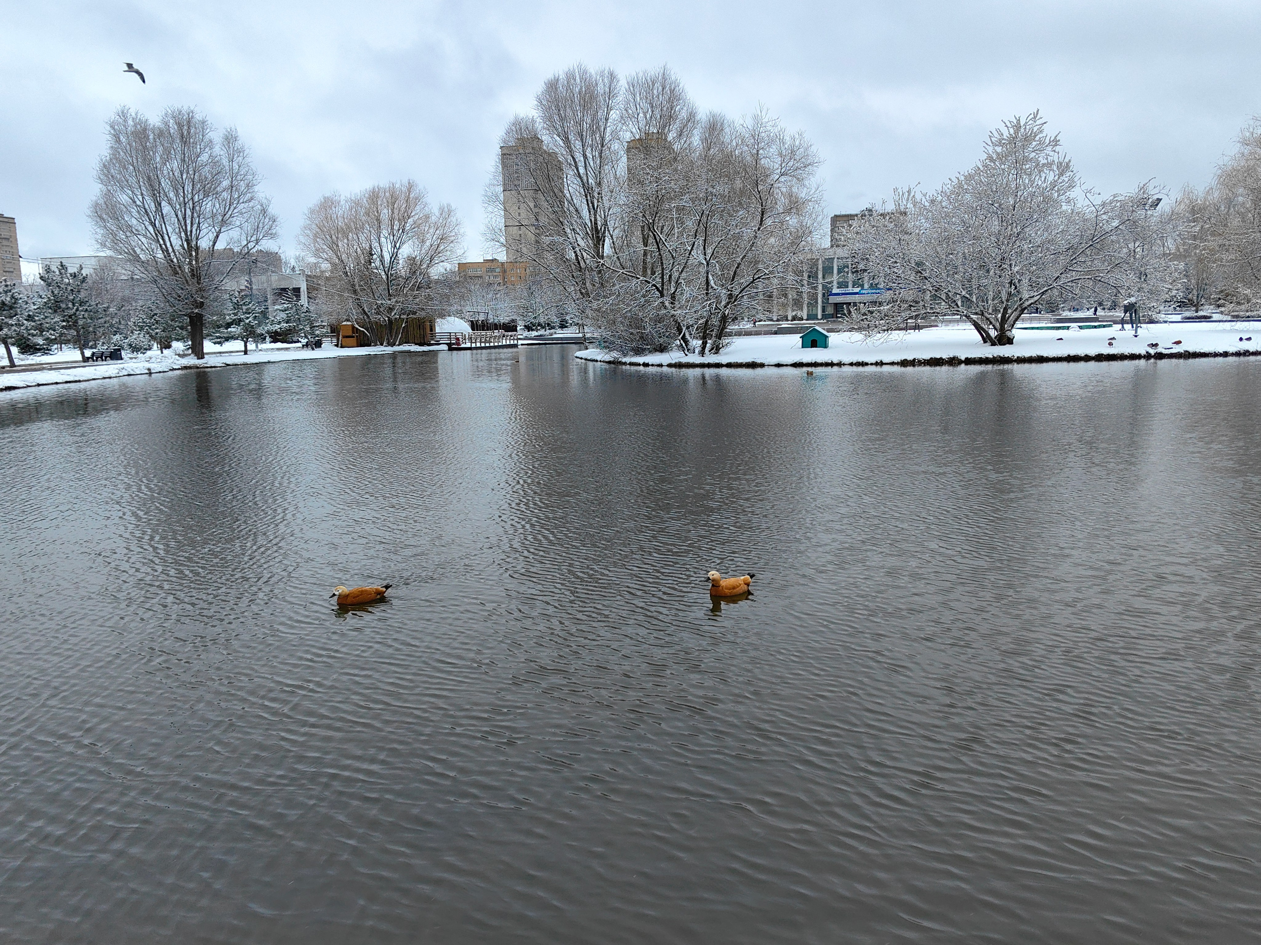 Спортивный фоторепортаж