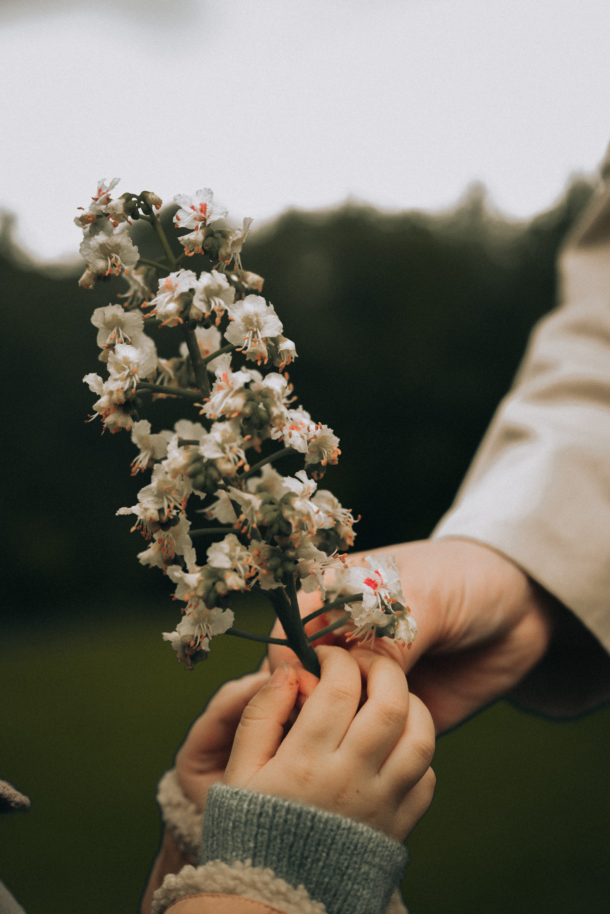 Анастасия и Сашенька. Прогулка в Измайлово. Семейный фотограф в Москве Дарья Пузикова