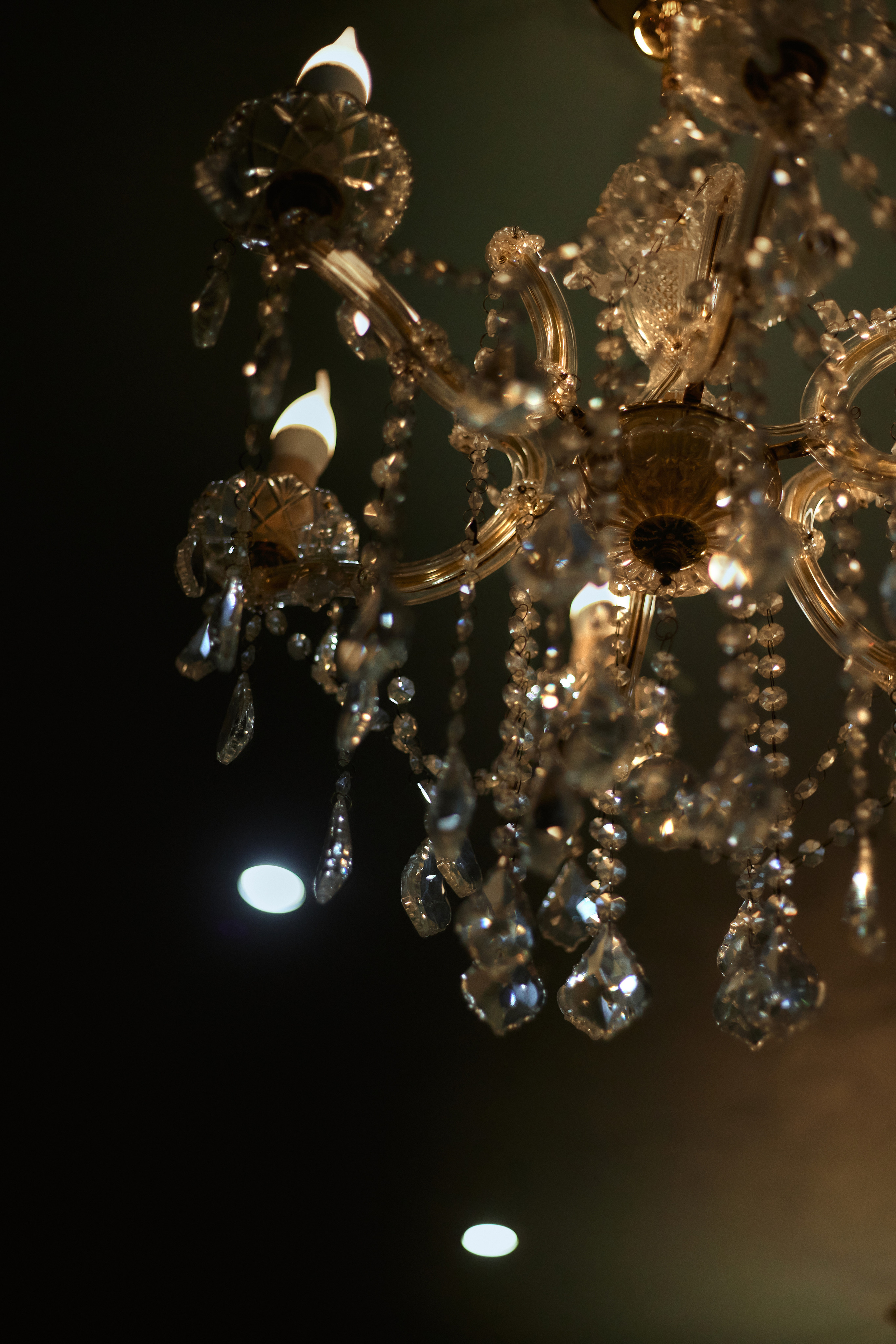 Завтрак с Юлией Гофман. Фотограф Жанна Лефлер