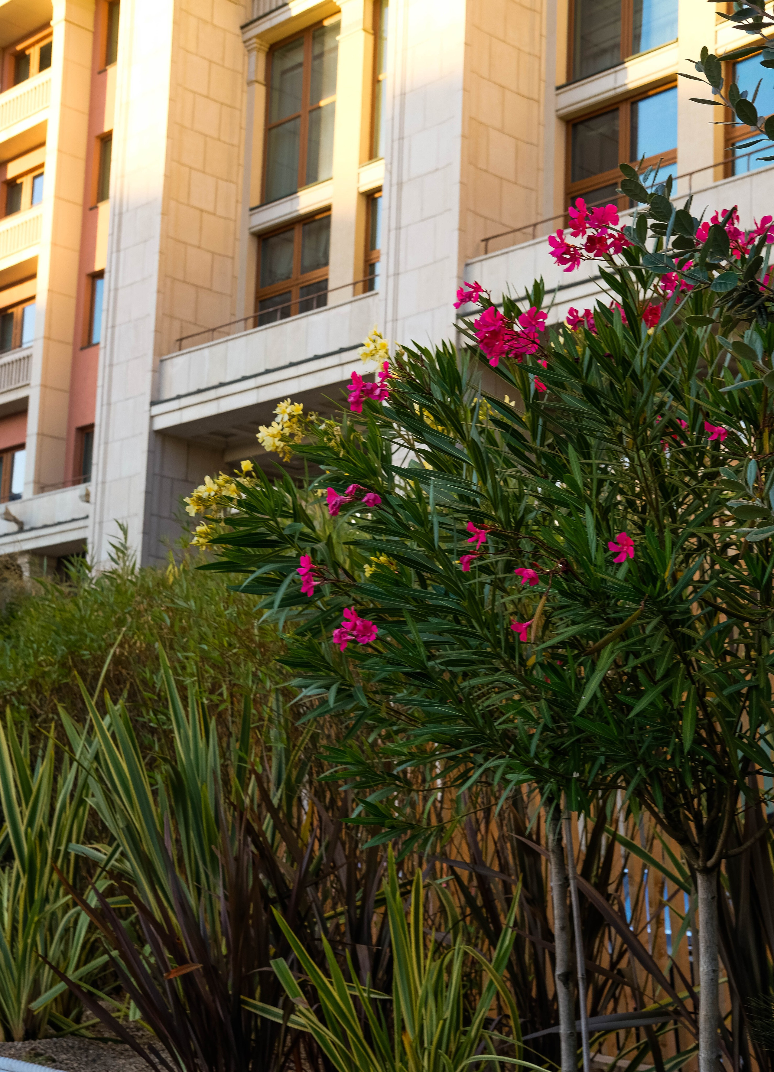 Москва 2024. Свадебный и семейный фотограф в Новосибирске, Санкт-Петербурге, Москве
