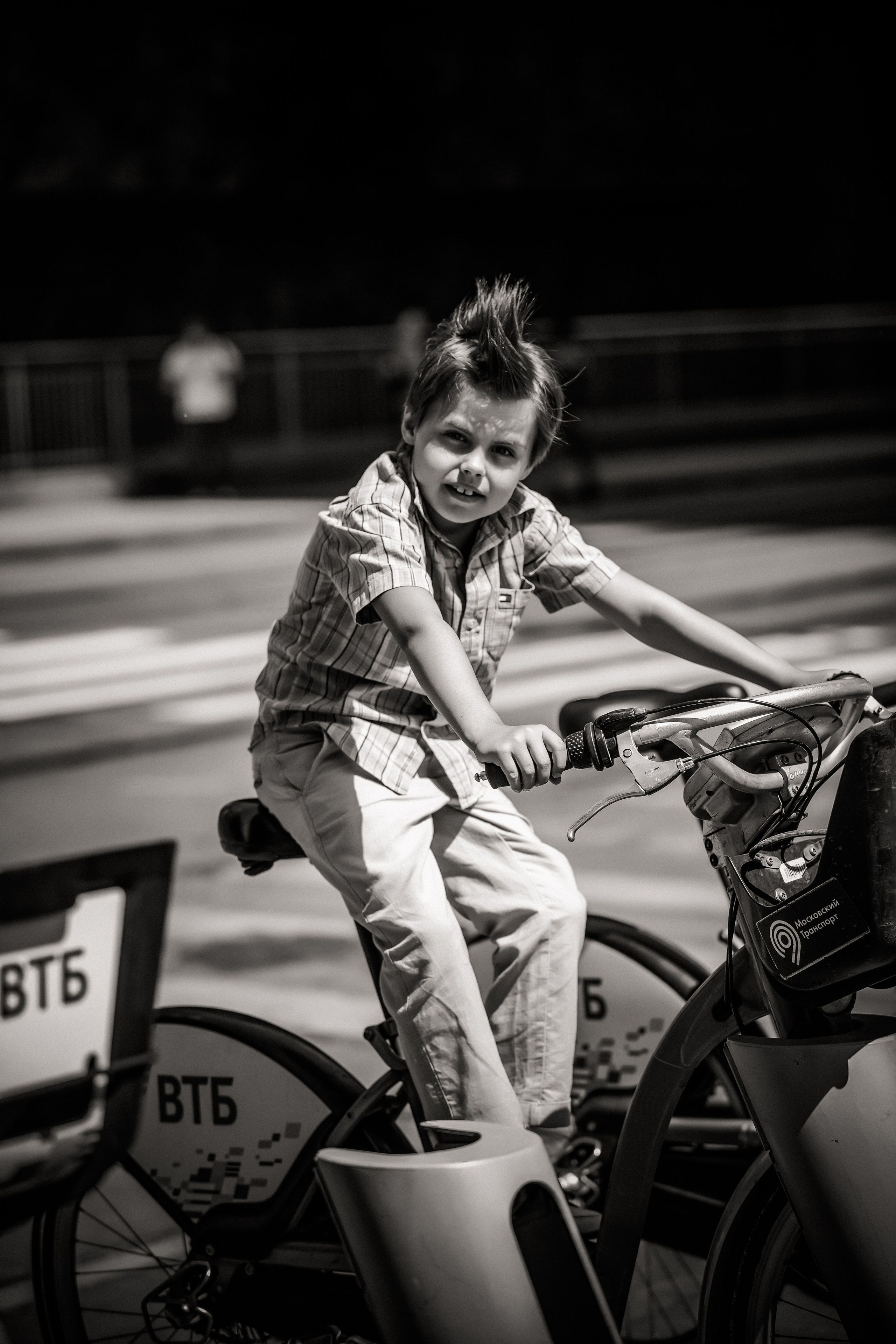 Лев. Свадебный и семейный фотограф в Москве и Подмосковье Лариса Козлова