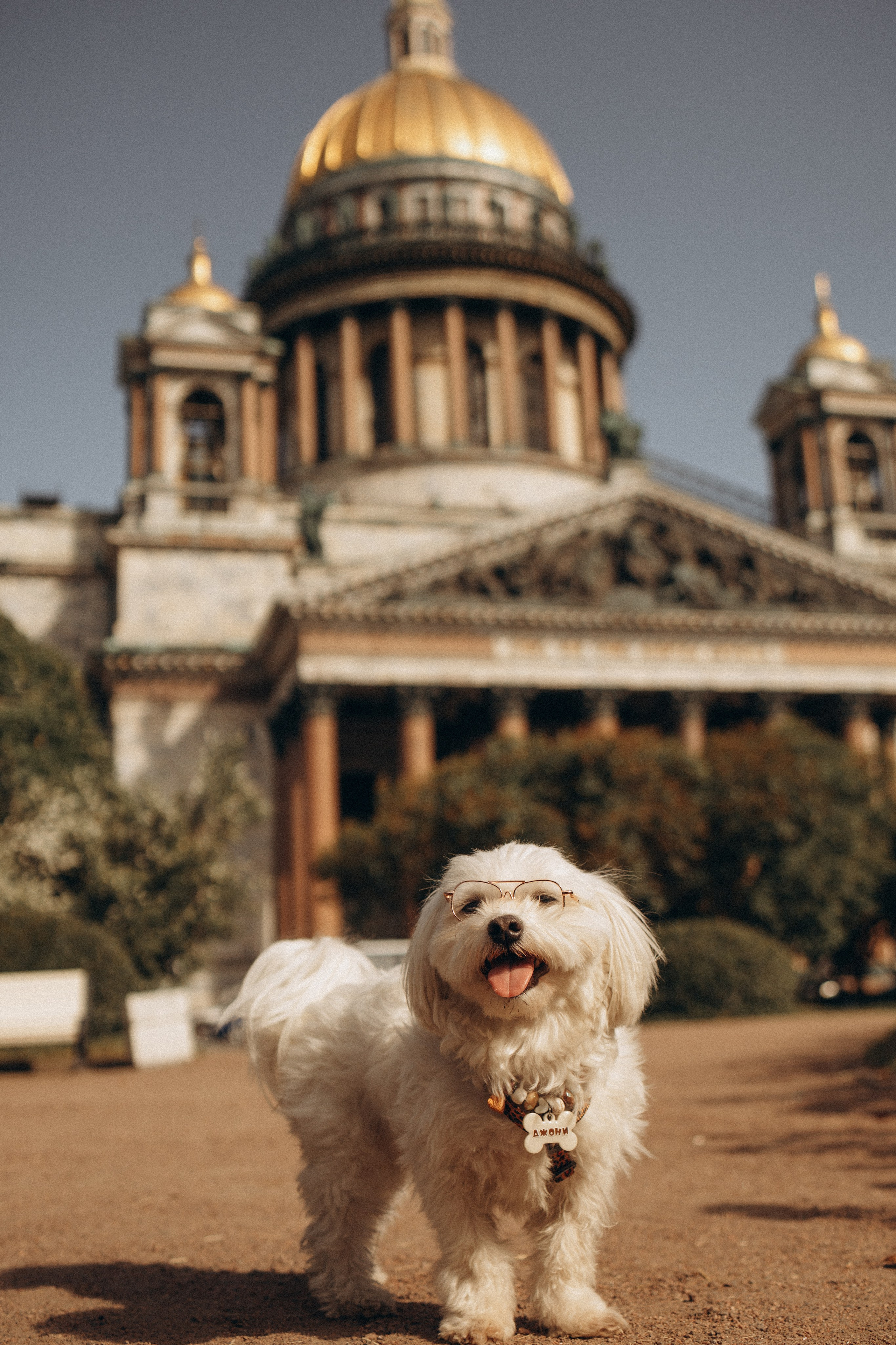 Питер, солнце и мокрые носы. Семейный фотограф Питер •love-story•|Санкт-Петербург