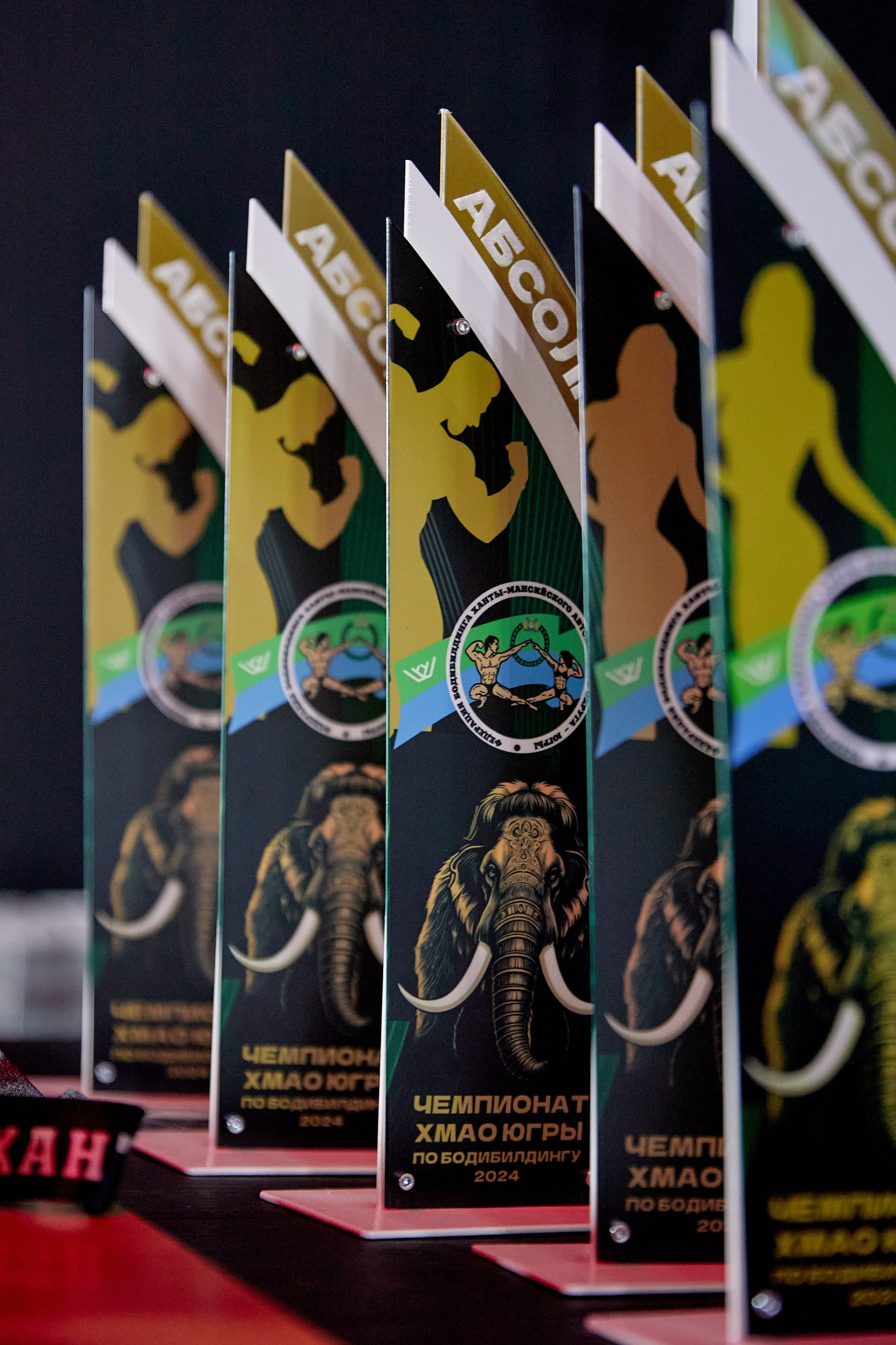 Репортажный фотограф Сургут. Свадебный фотограф в Сургуте Иванов Павел