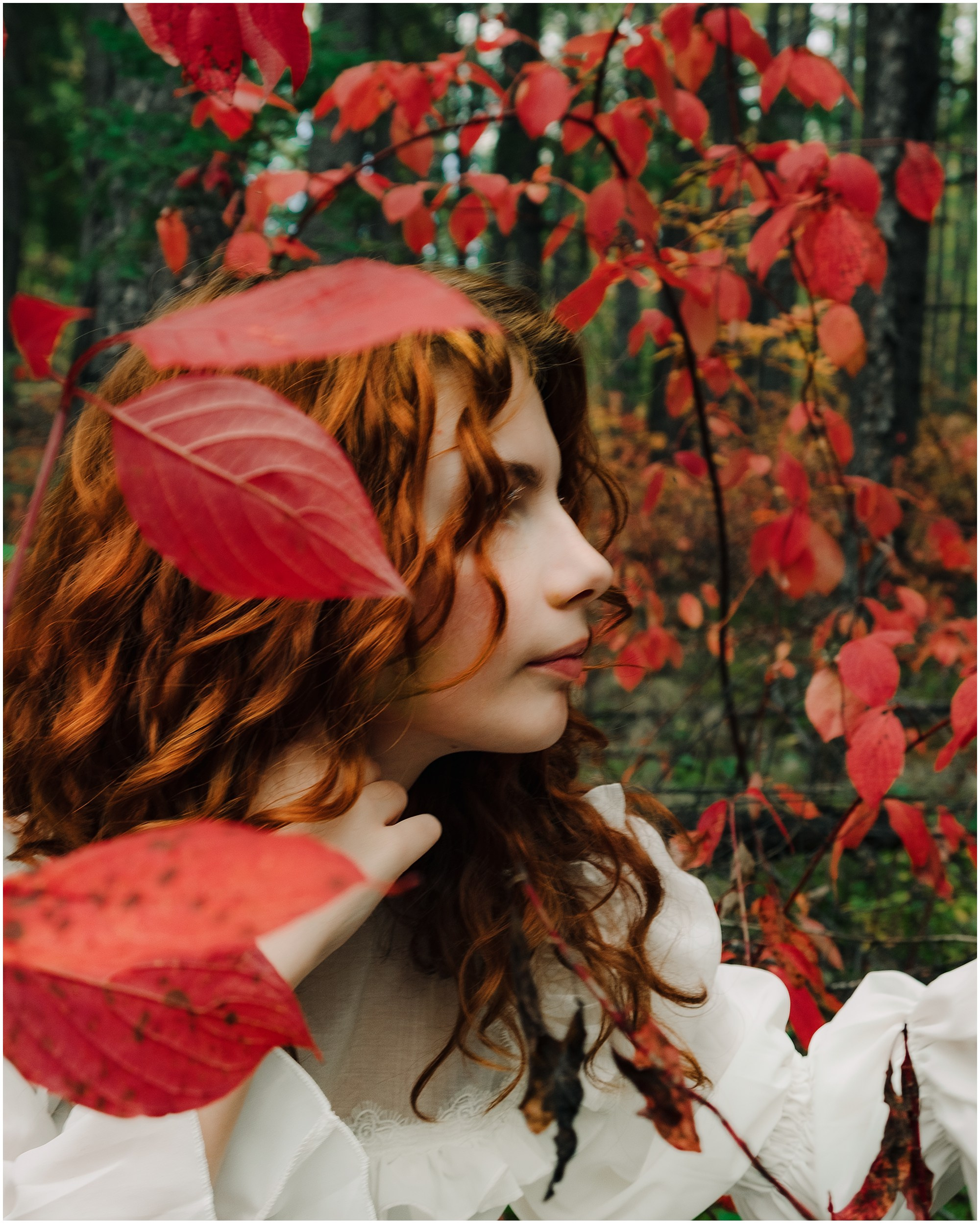 Осень. ФОТО