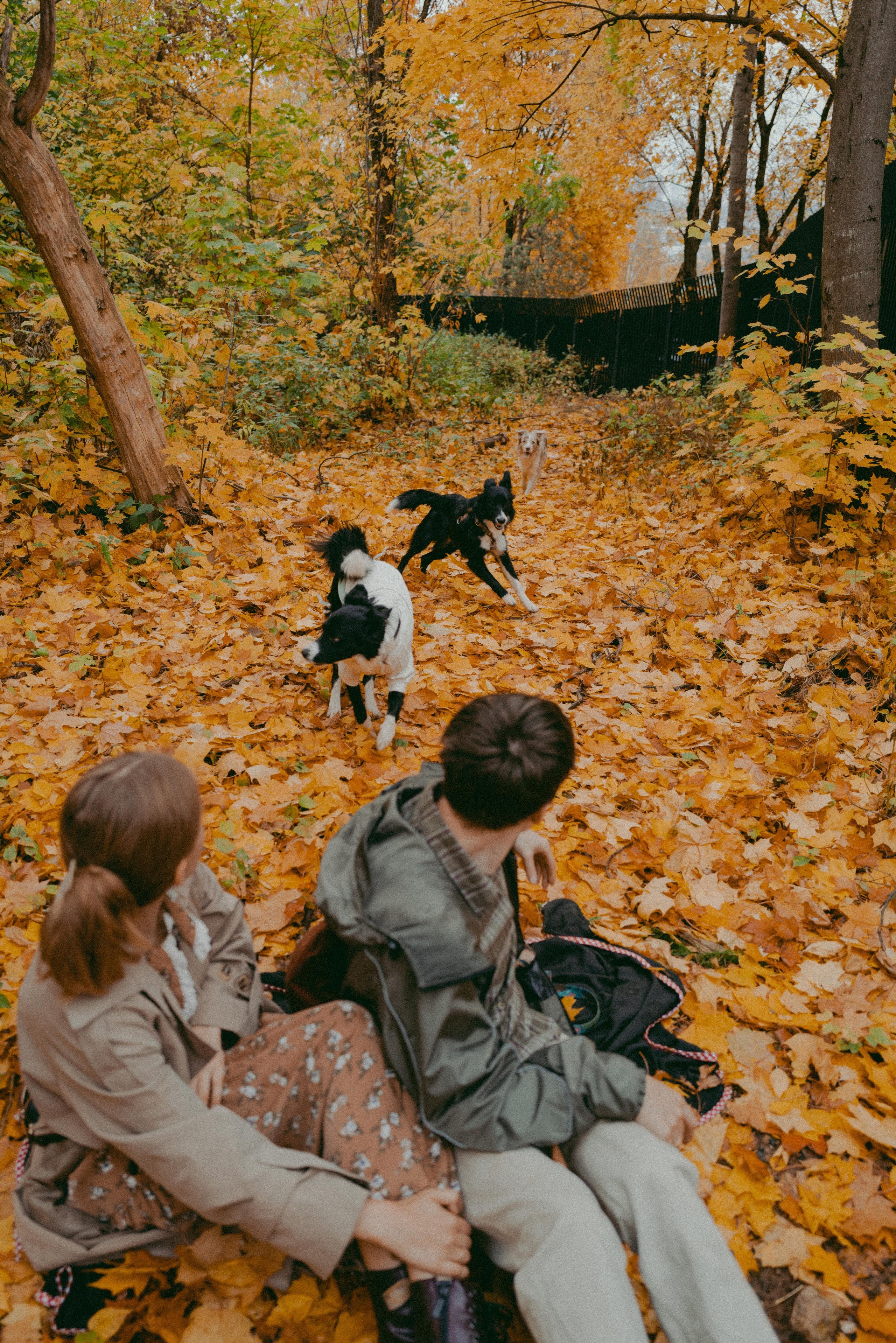 Sasha and Arina. Фотограф Евгения Добротворская
