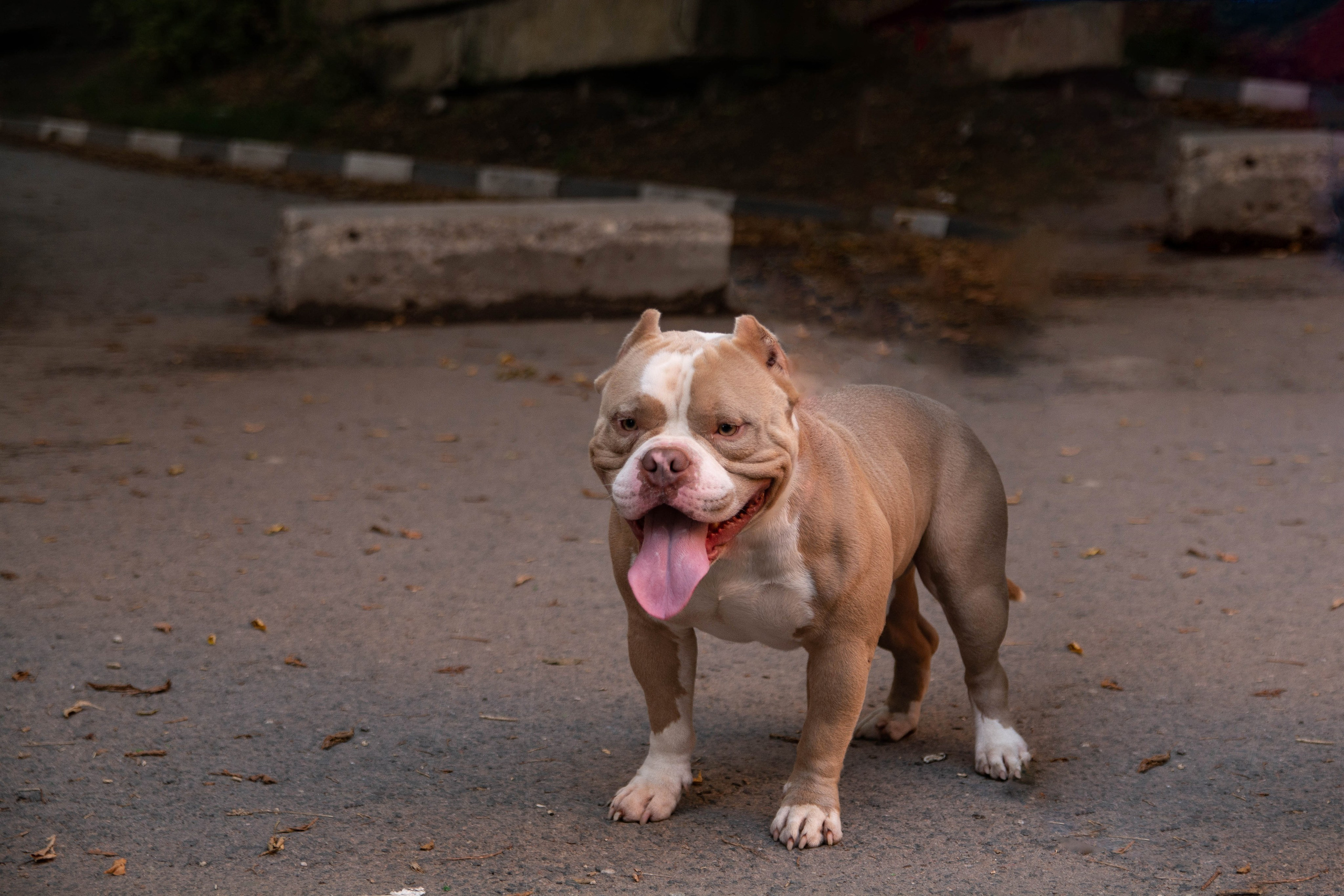 Вадим Малянов — фотограф / видеограф в Саратове
