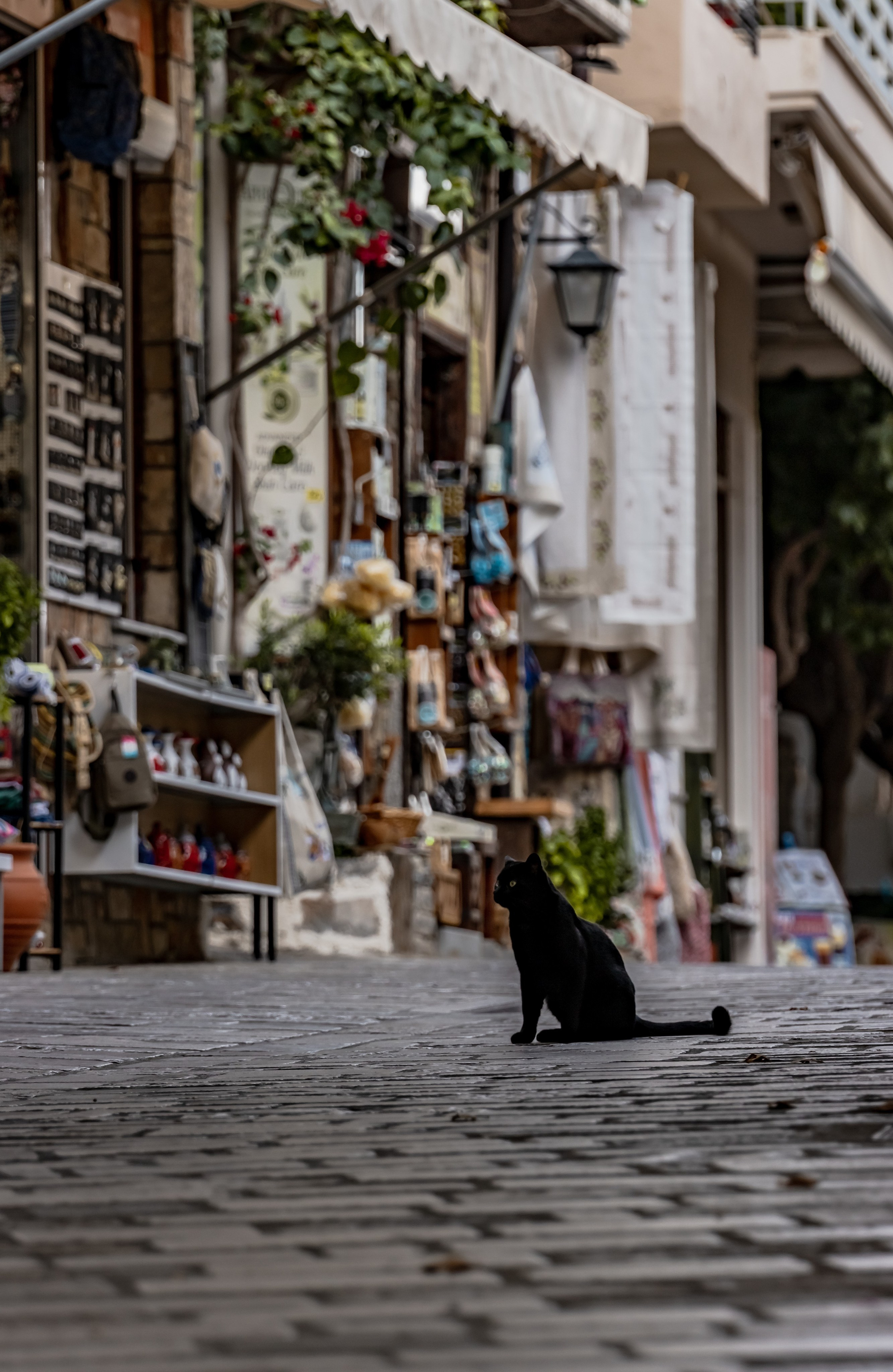 TRAVEL&NATURE. NE Cinema — backstage and reportage photography in cinema, music, Automotive and sport