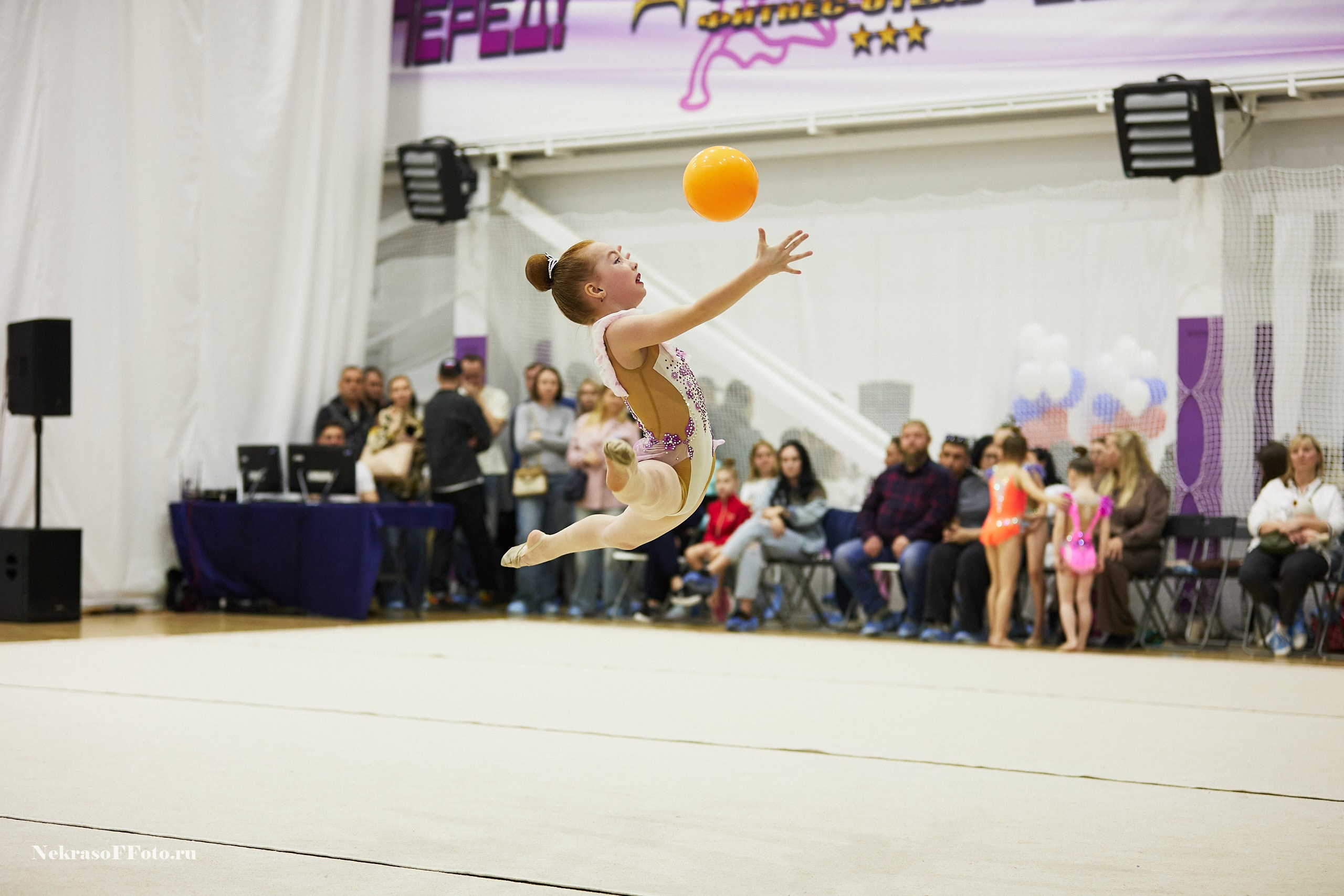 Художественная гимнастика. Спортивный фотограф Некрасов Денис