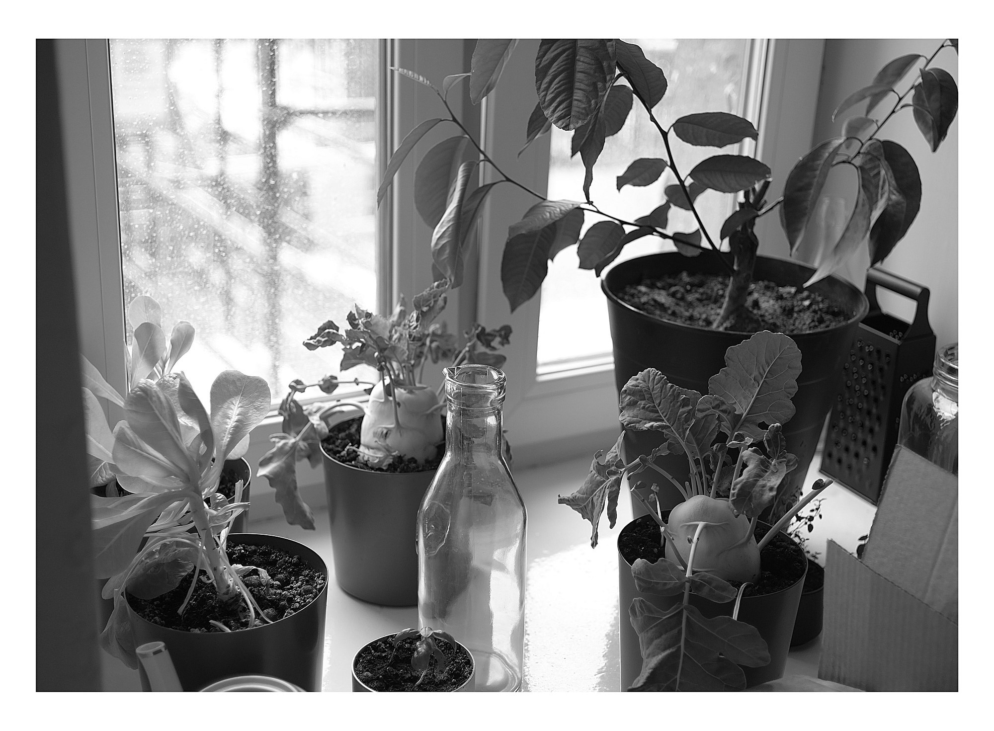 Фуд и предметный фотограф Москва. Евгений Петровский — Фуд-съемка и предметная съемка в Москве