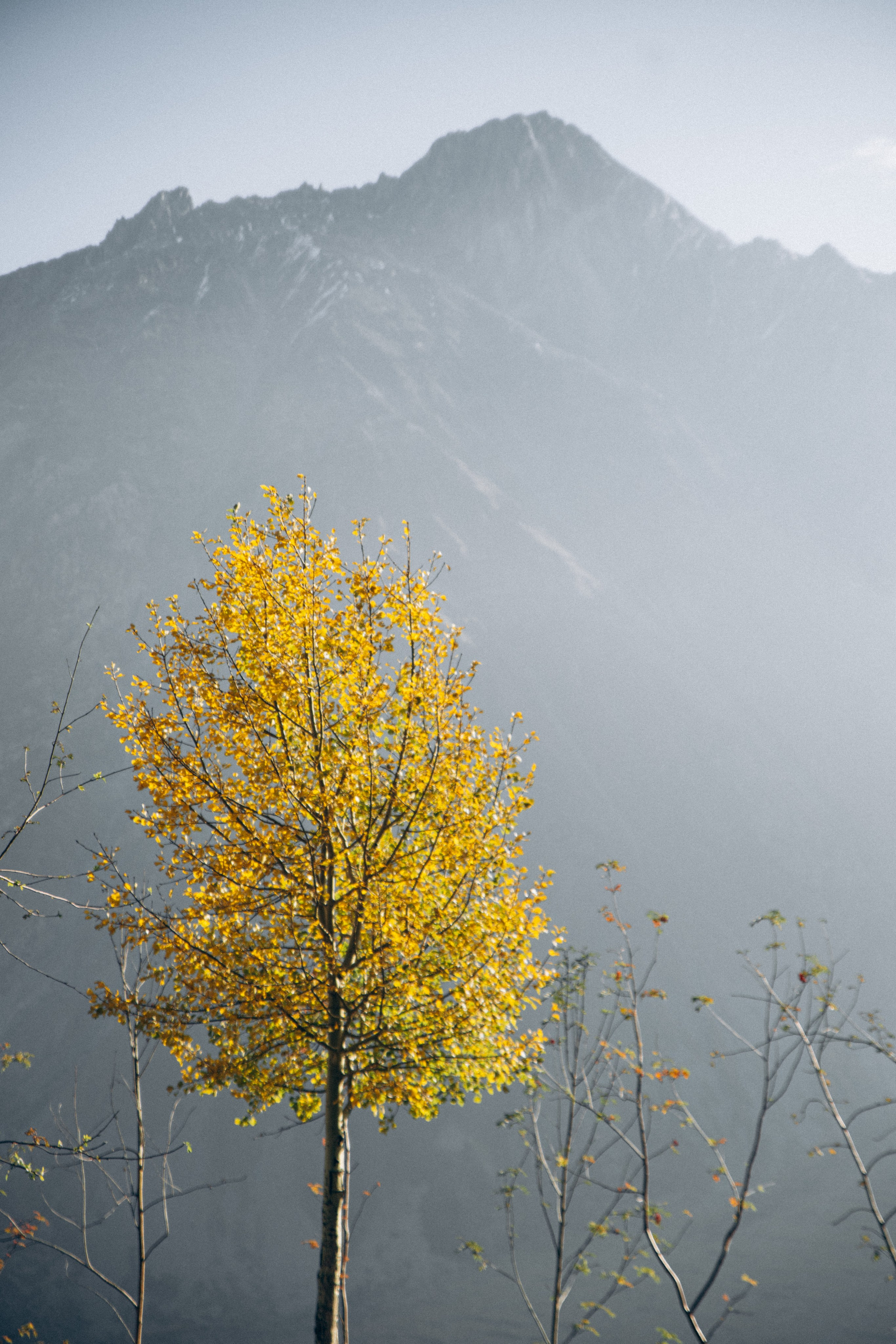 Грузия. Репортажный и детский фотограф в Минске