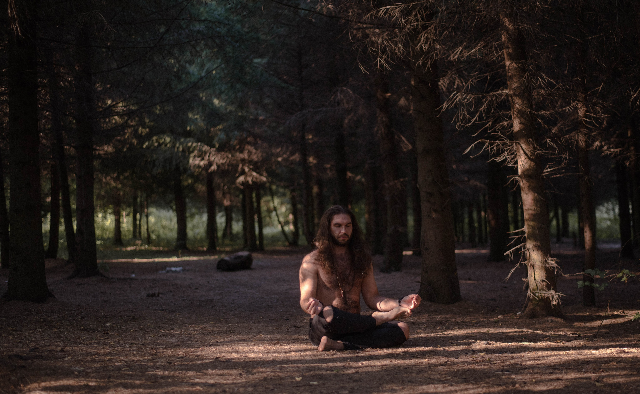 Мужское начало. Olgamashh