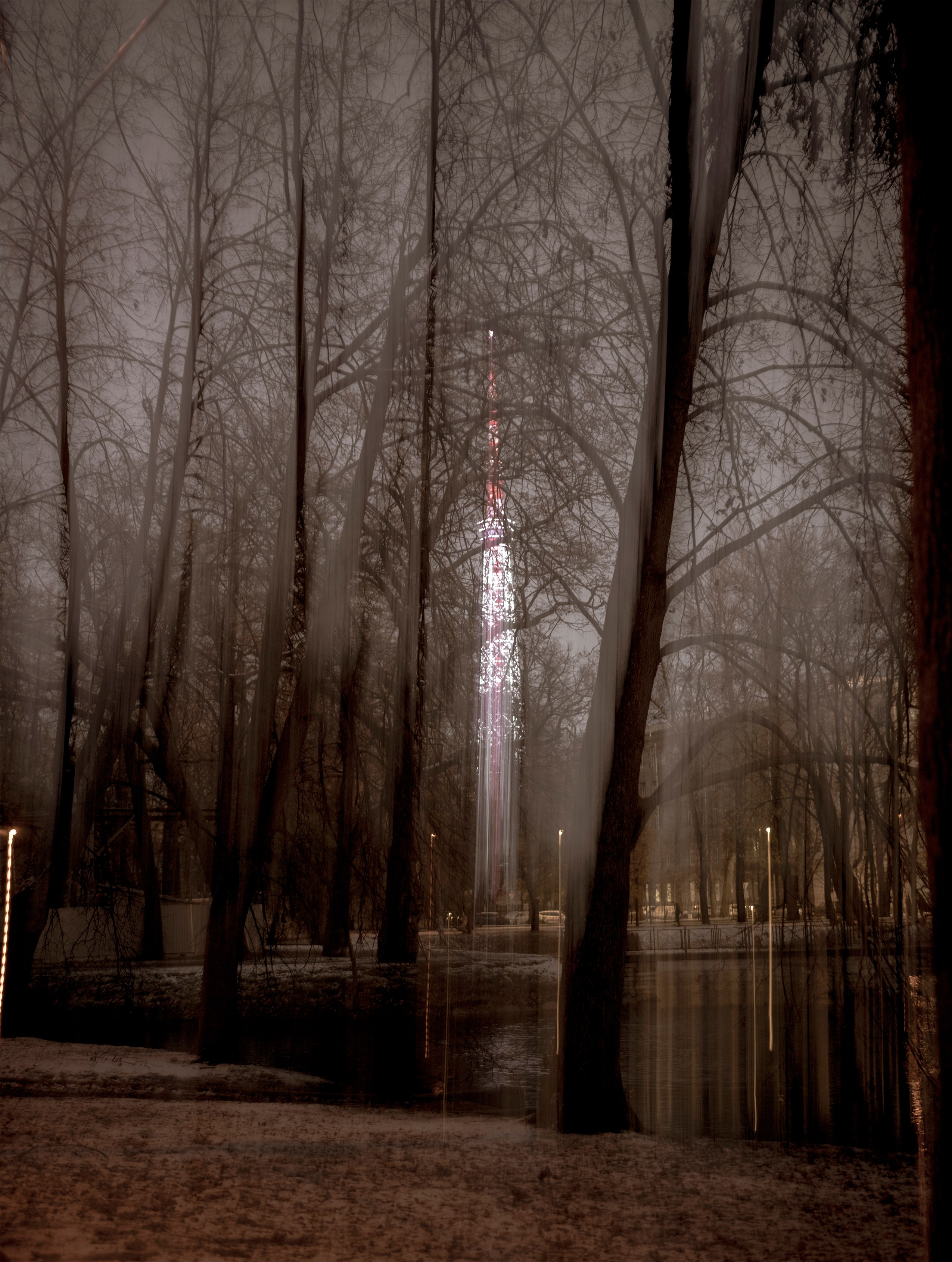 Природа и животные. Творческий фотограф Ирина Баландина.  Санкт-Петербург, Мурманск