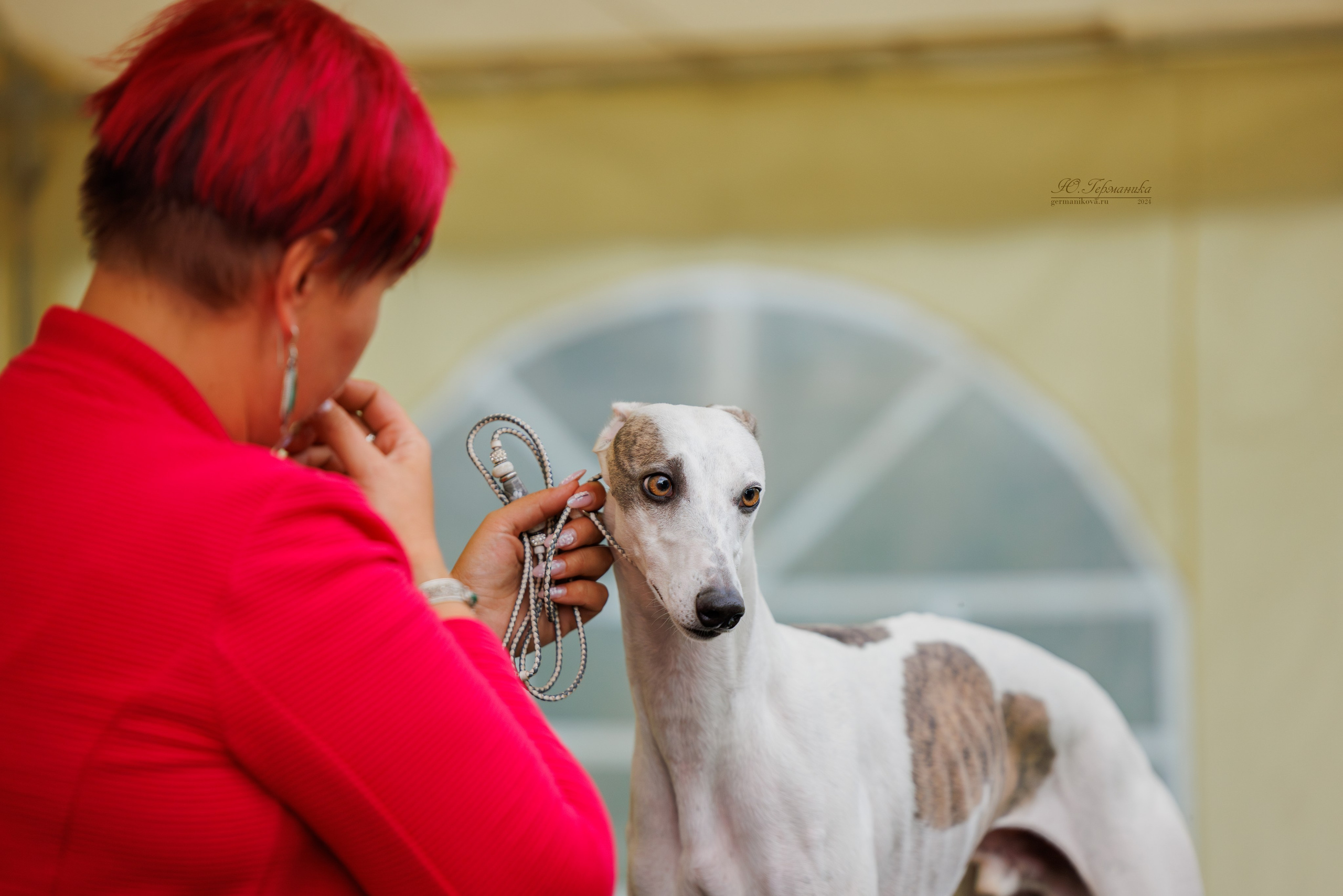 Астана 2хCACIB 17-18.08.2024. Фотограф-анималист Юлия Германика