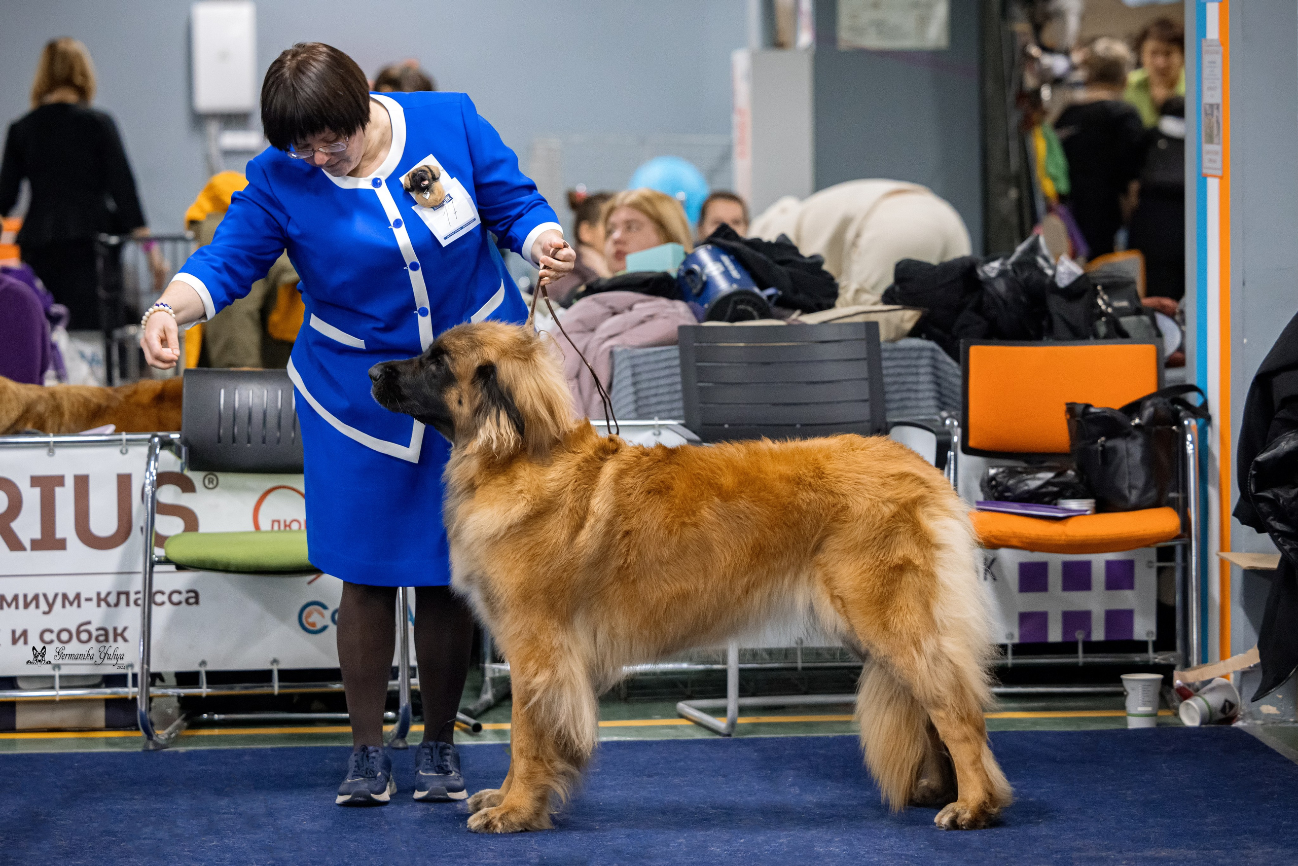 Сфера 28.01. и 4.02.2024. Фотограф-анималист Юлия Германика