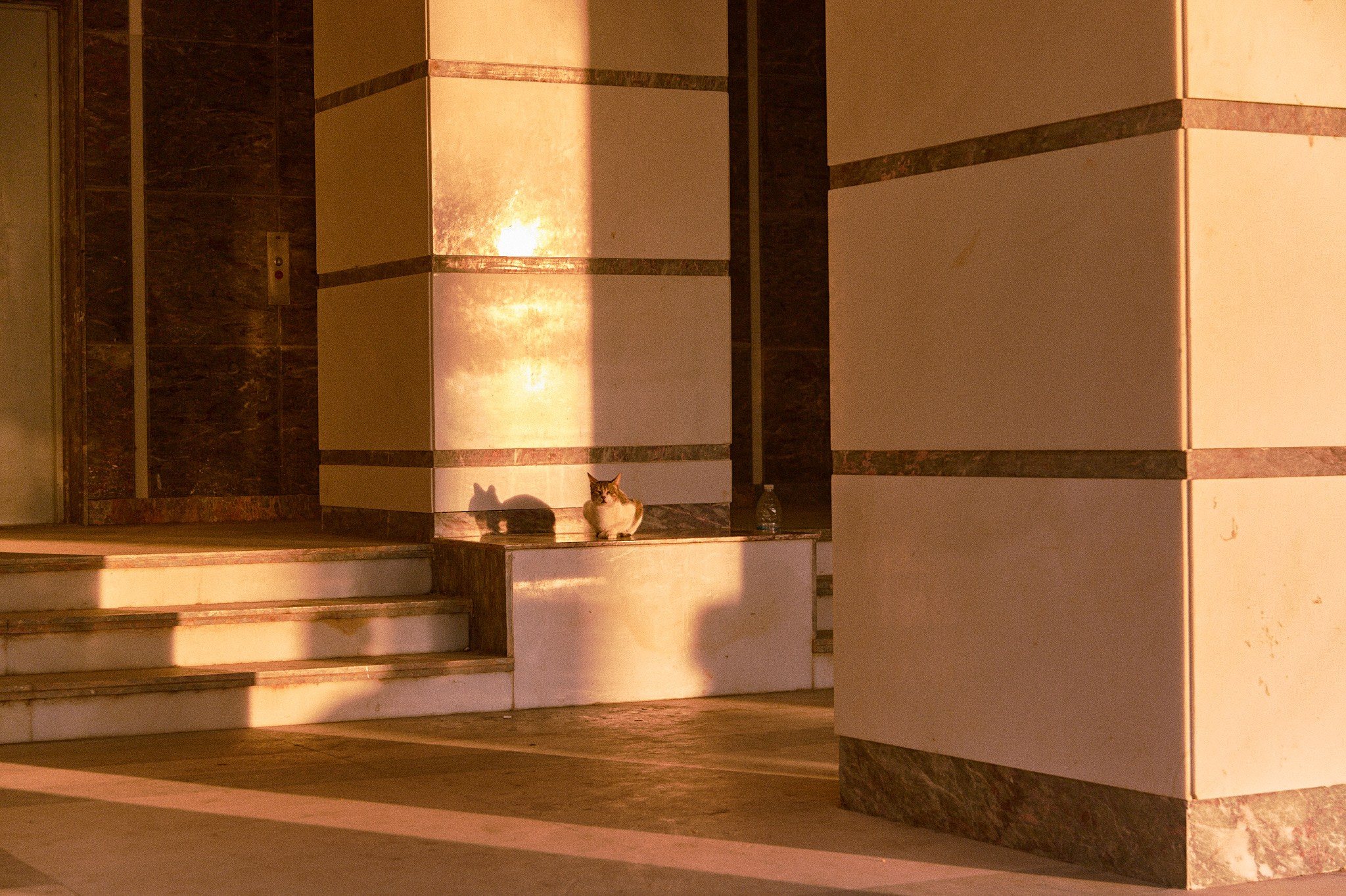 Улица горизонтальная. Jorgis — фотограф в Хургаде / обучение фотографии