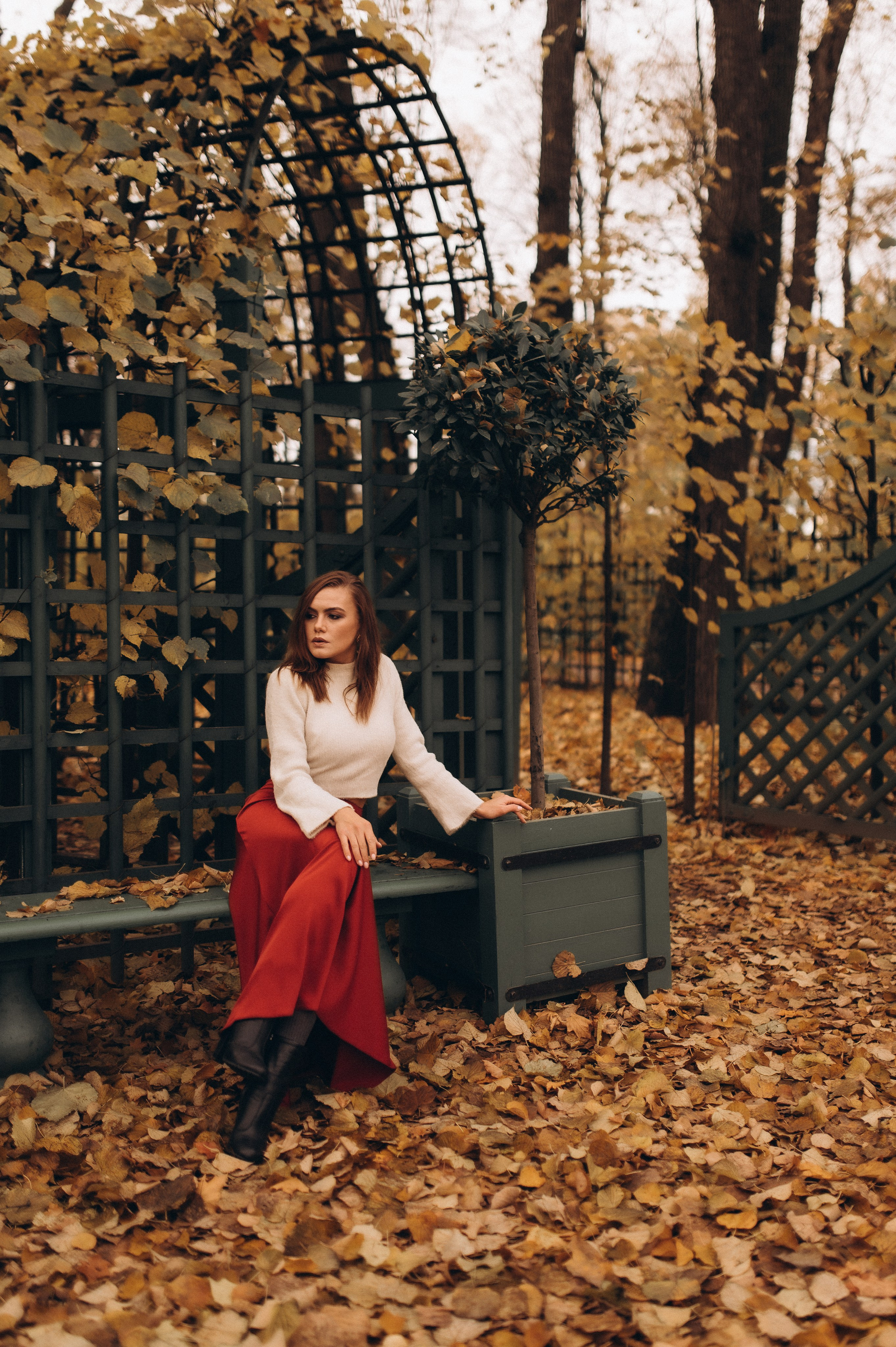 Осенняя индивидуальная фотопрогулка летний сад. Фотограф ПИТЕР СПБ Надежда Баранова