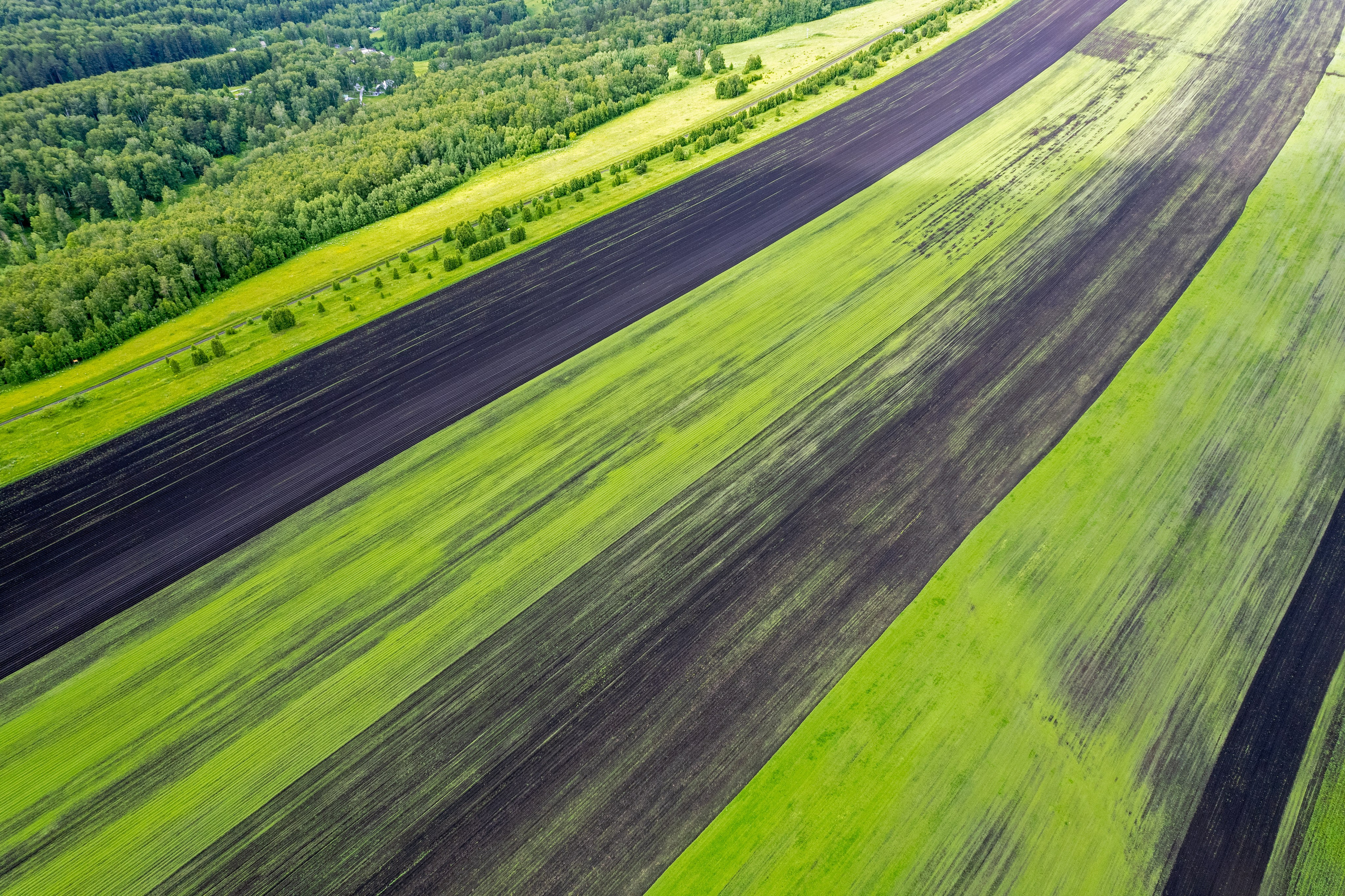 Аэрофотография, фото нашей прекрасной Земли с воздуха. От прошлого к будущему авиации через фотографию