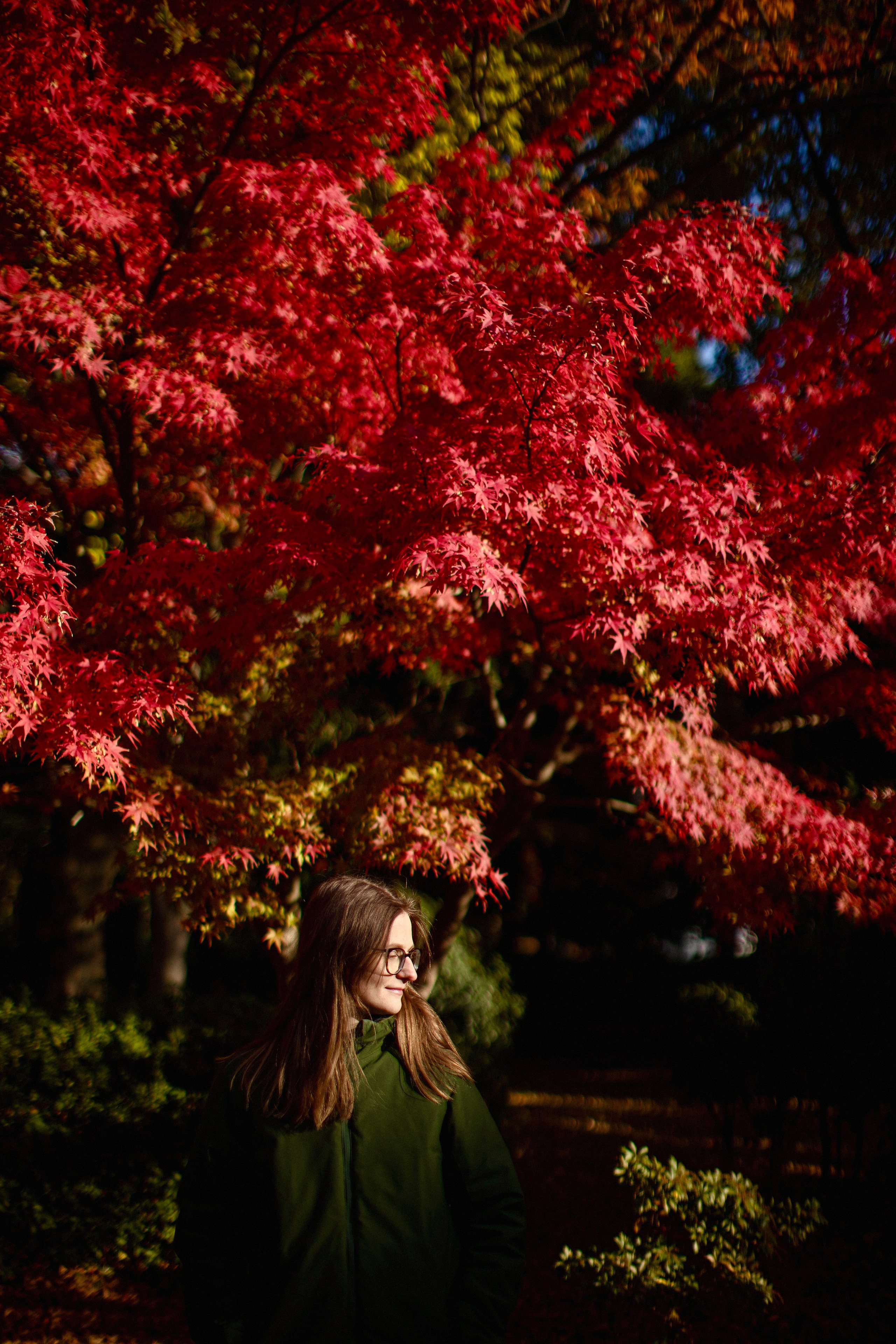 Япония. Главная