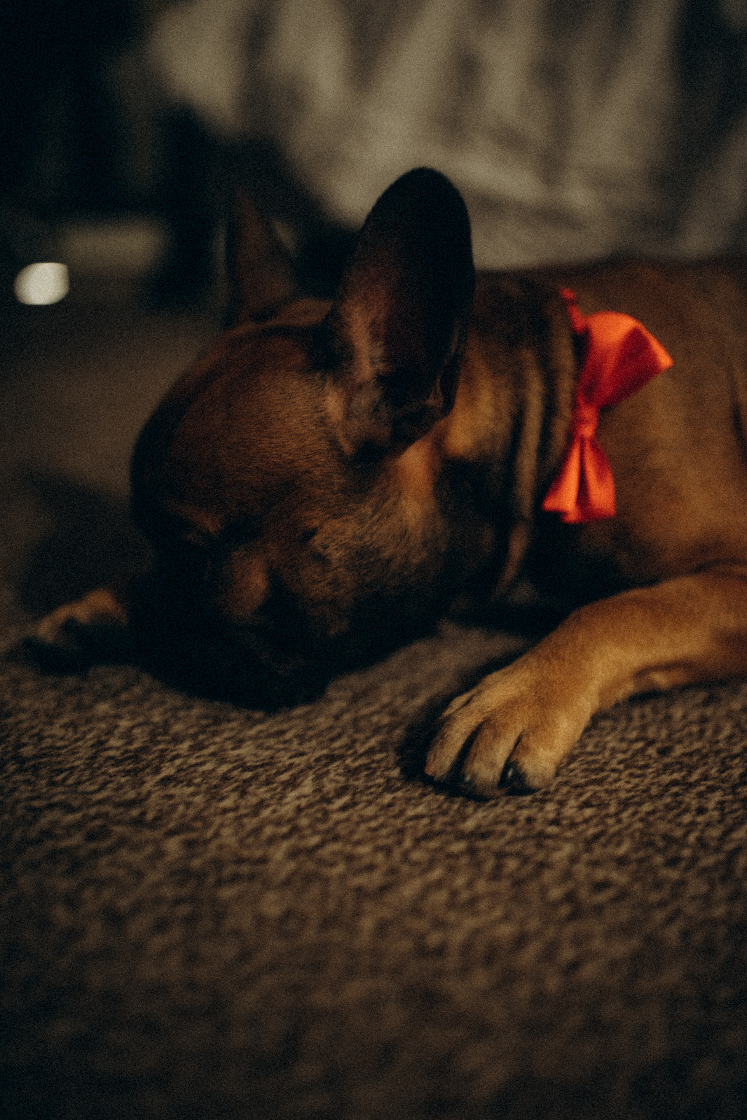 Свадьба полного дня. Фотограф Дубай