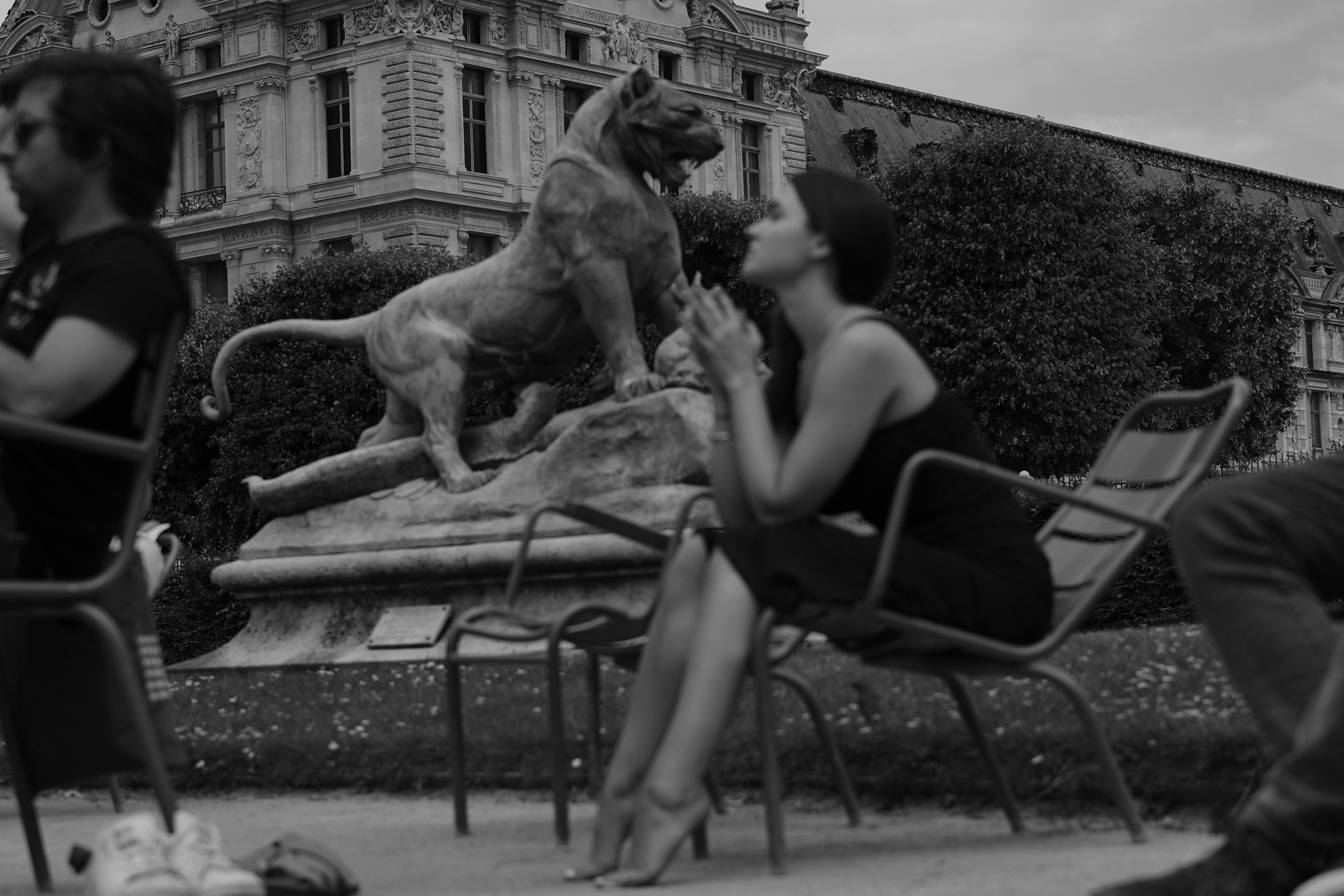 Галерея. Beardy Pix