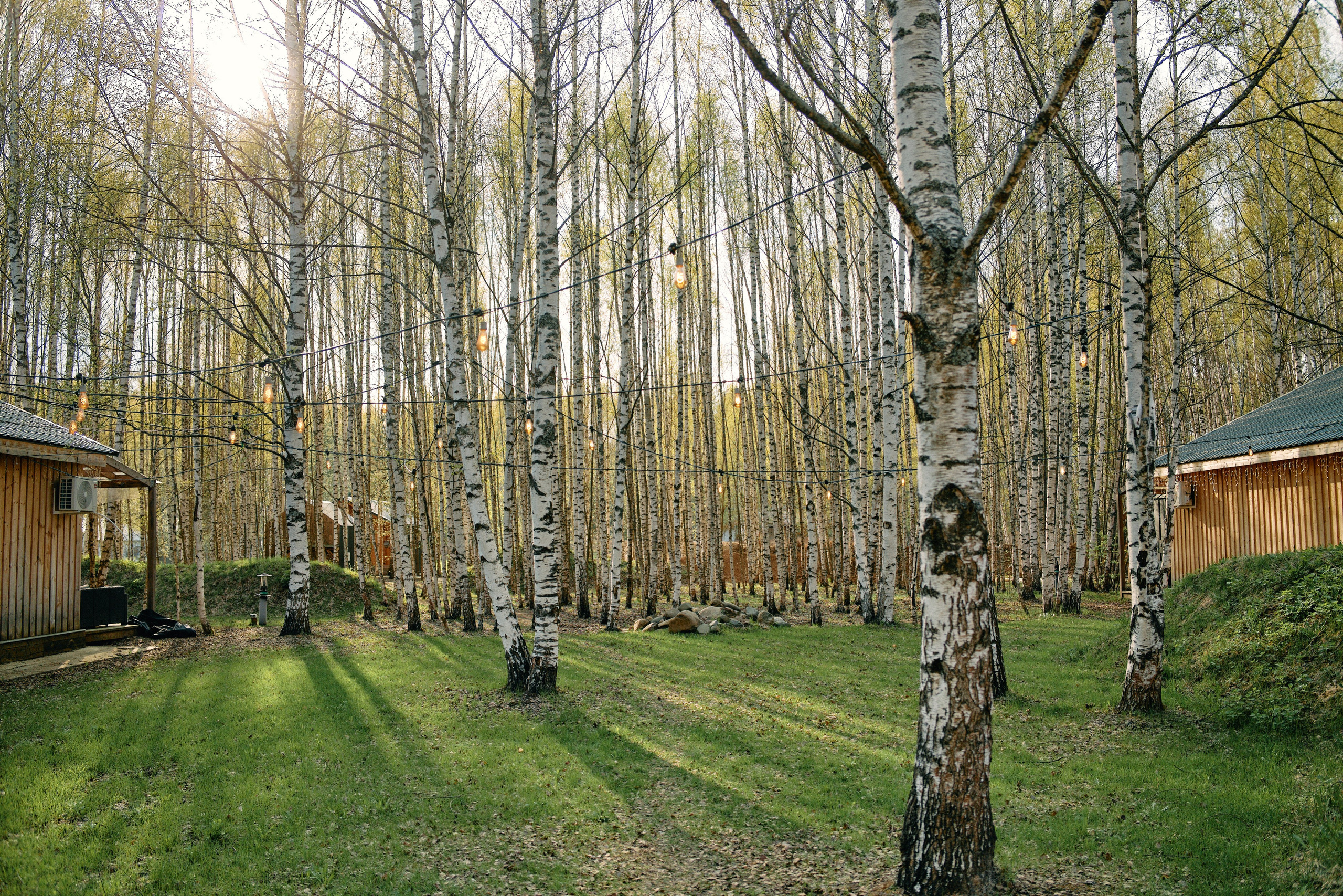 Бутик-отель Поле летом. Профессиональный Фотограф во Владимире, в Москве и в Суздале — Полина Романычева