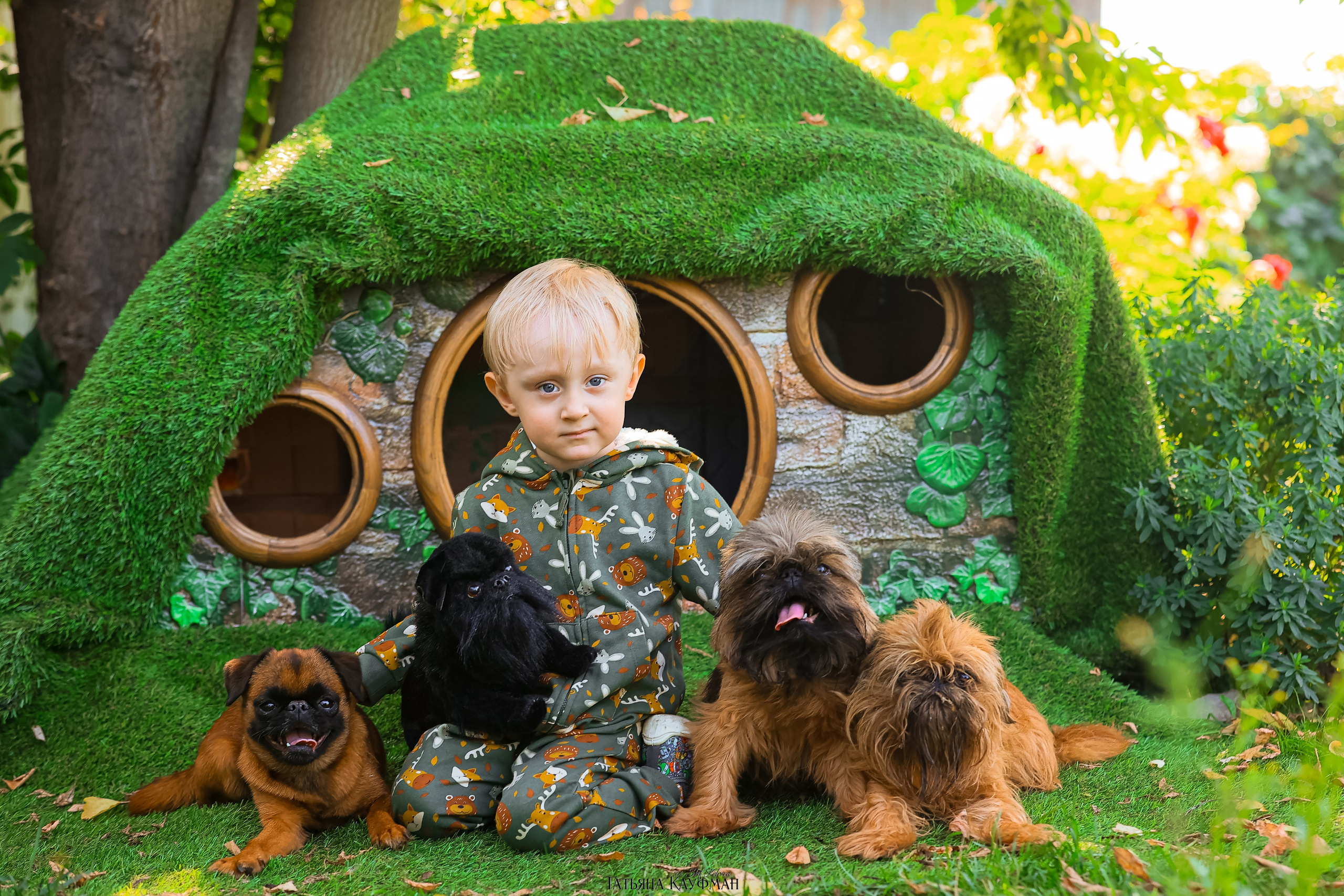 Домик для хоббитов, фотозона, властелин колец, шир, хоббиты, гномы, брюссельский гриффон, малый брабансон, фотосессия, ручная работа, фотограф анималист, фотограф Новосибирск