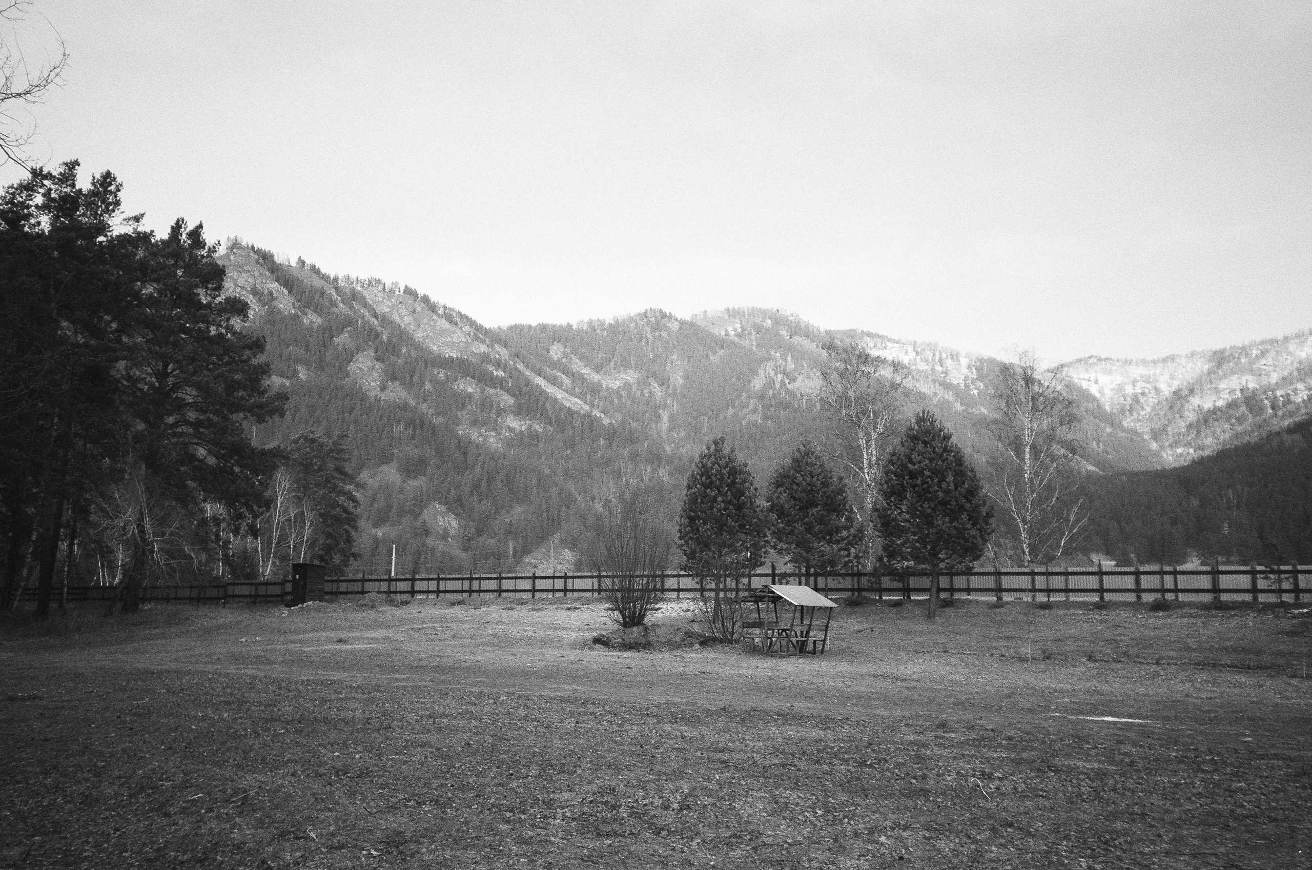 От Кызыл-Таш до Силы Алтая по Чемальскому тракту. Фотограф-документалист Мария Осокина