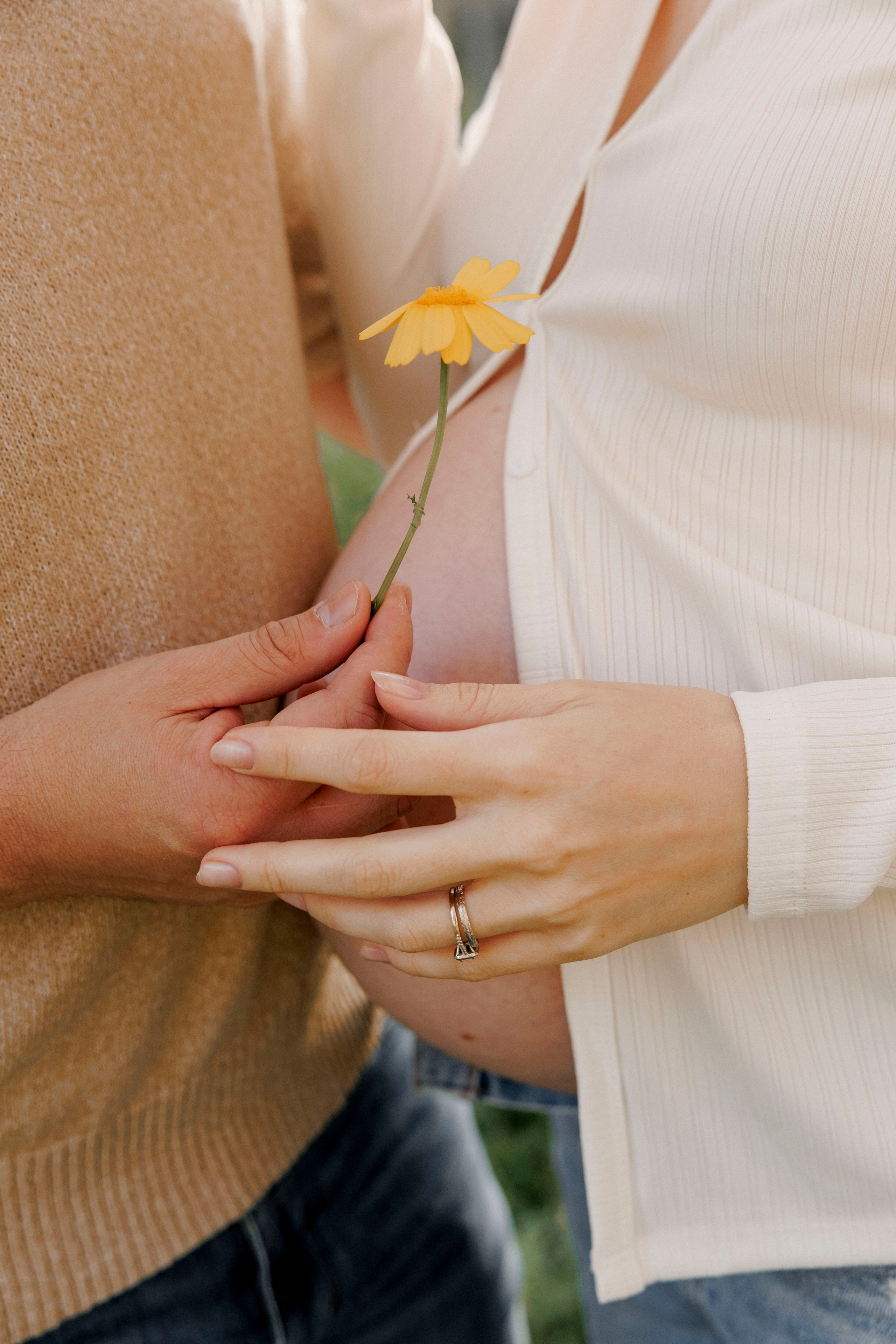 Pregnancy photoshoot (home/park/beach). Главная