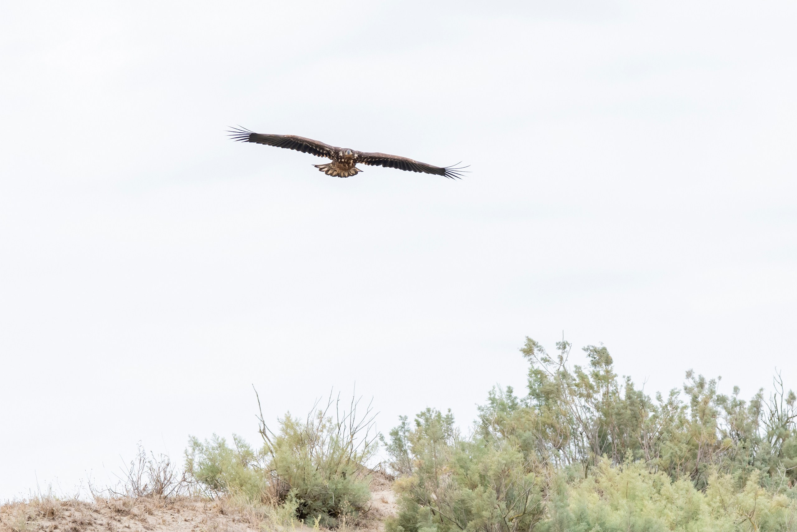Природа Дагестана, сентябрь 2024. Foto-Zuev фотография как искусство