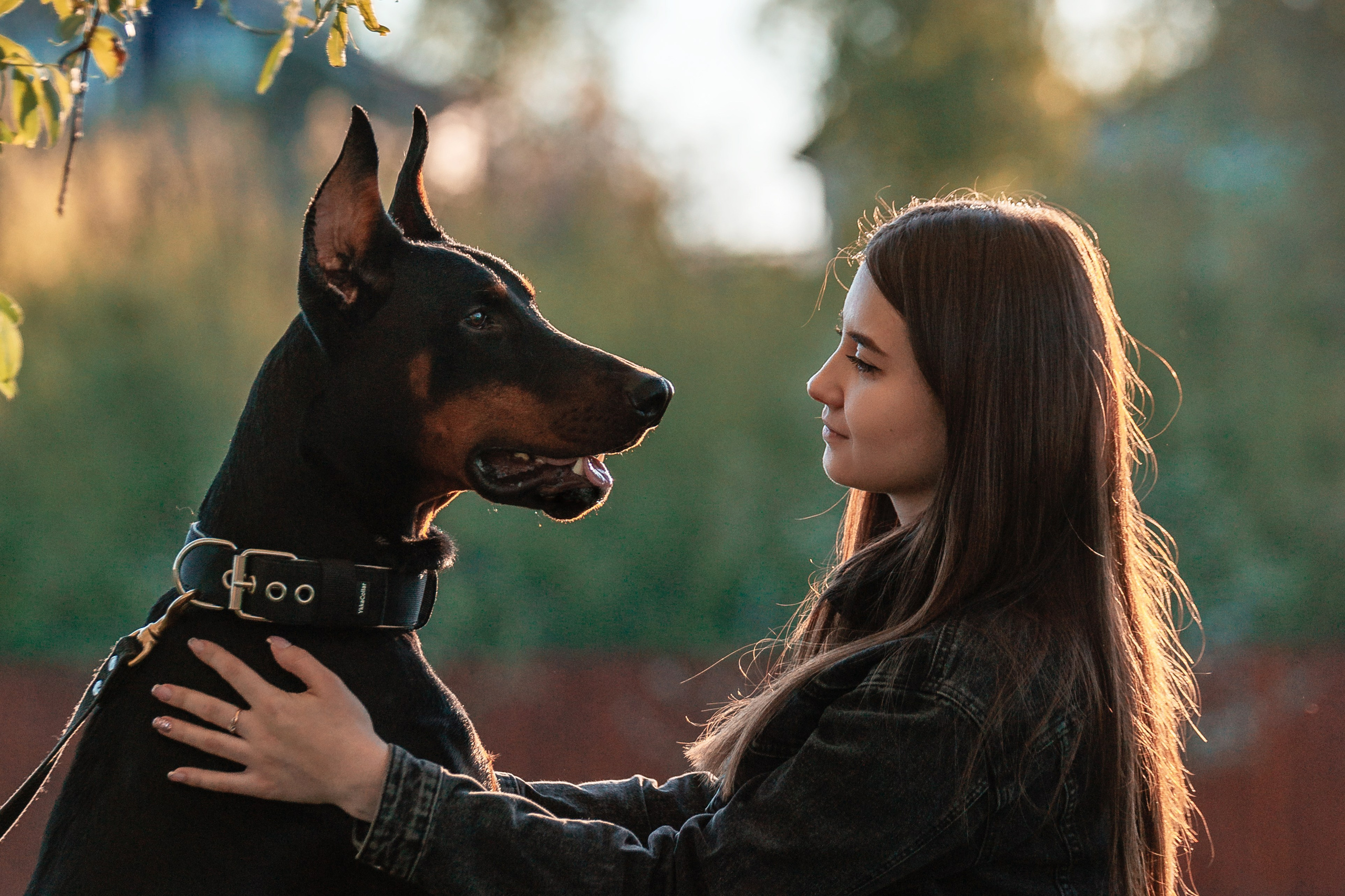 Юля, Андрей и Арес. Фотограф-анималист Анастасия Парфенова|Екатеринбург