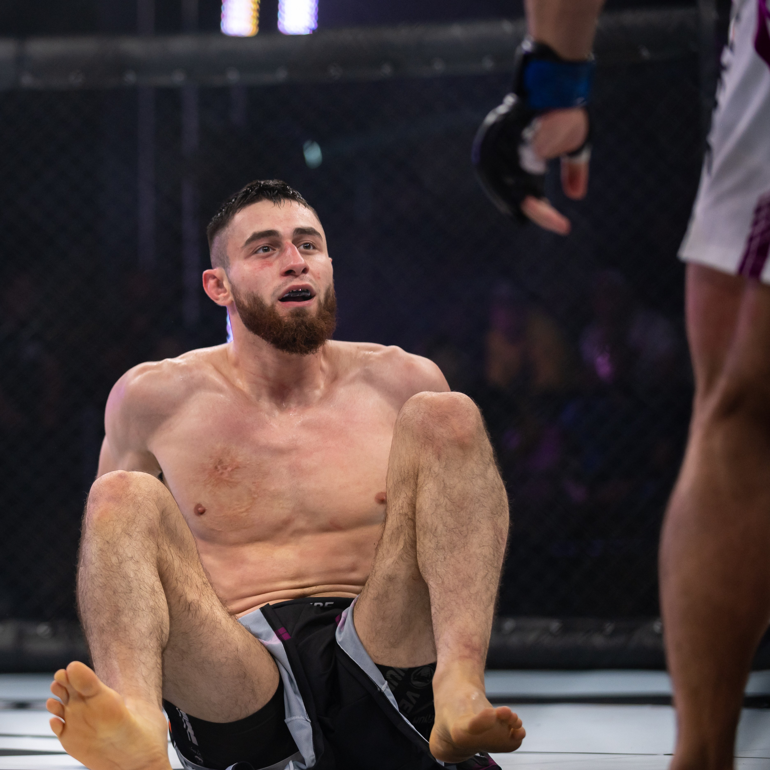 Бои. Репортажный фотограф в Красной Поляне и Сочи Павлюченко Екатерина