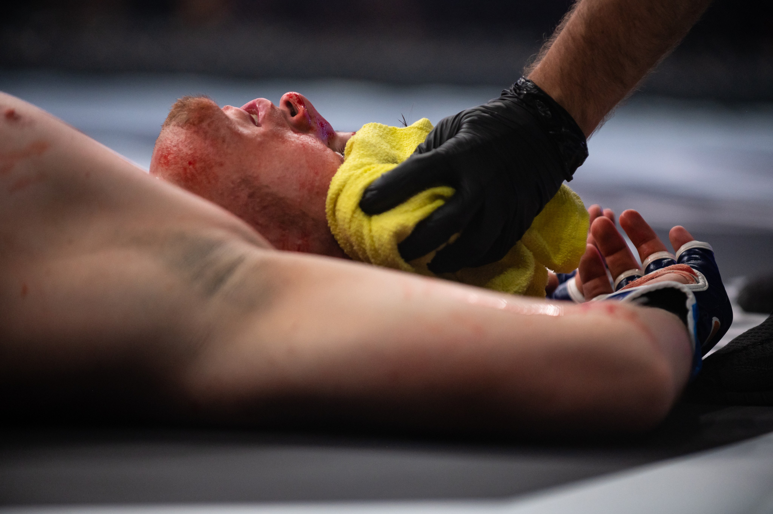 Бои. Репортажный фотограф в Красной Поляне и Сочи Павлюченко Екатерина