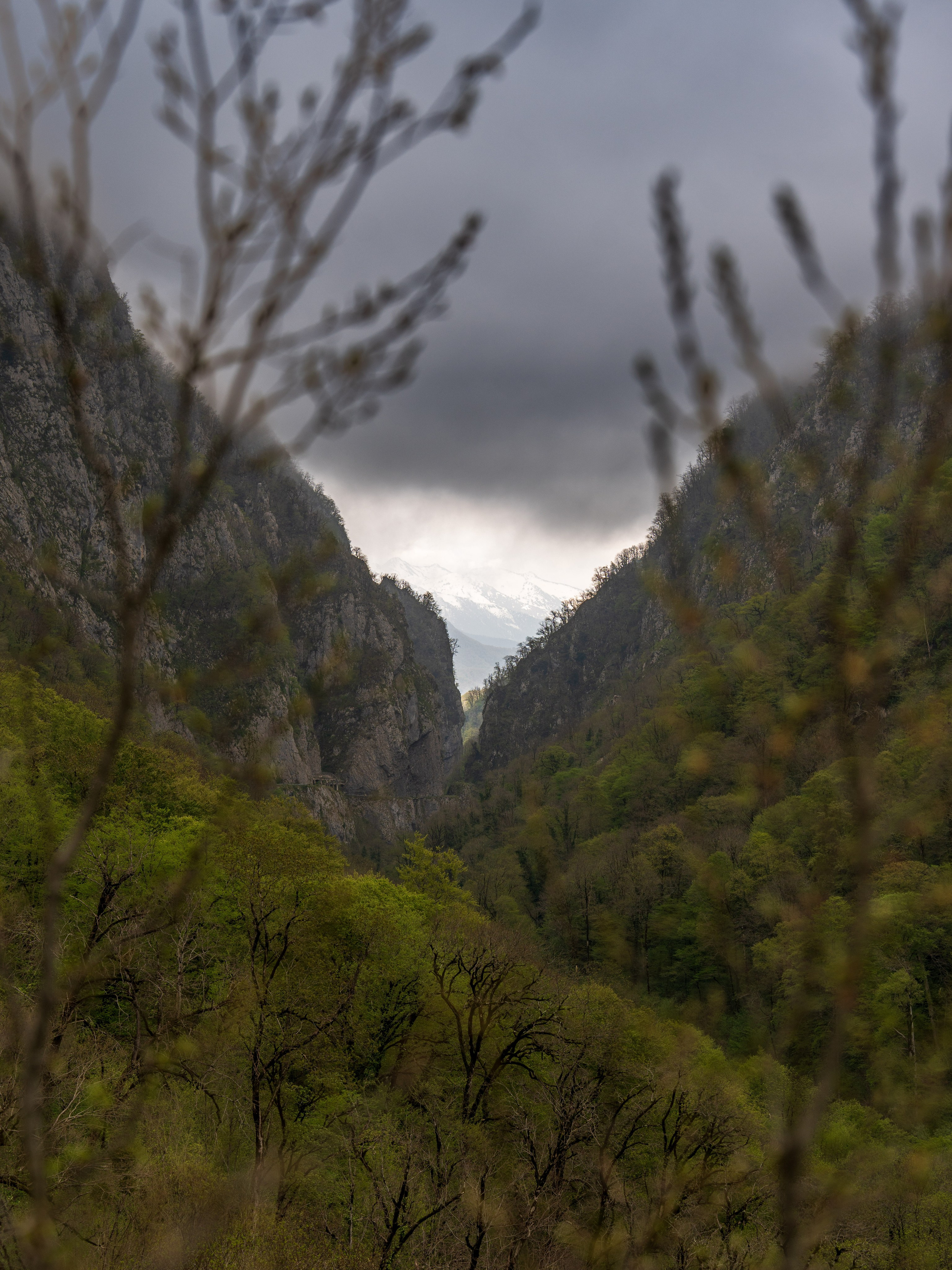 MICE мероприятие — джиппинг на каньон Псахо. Репортажный фотограф в Красной Поляне и Сочи Павлюченко Екатерина