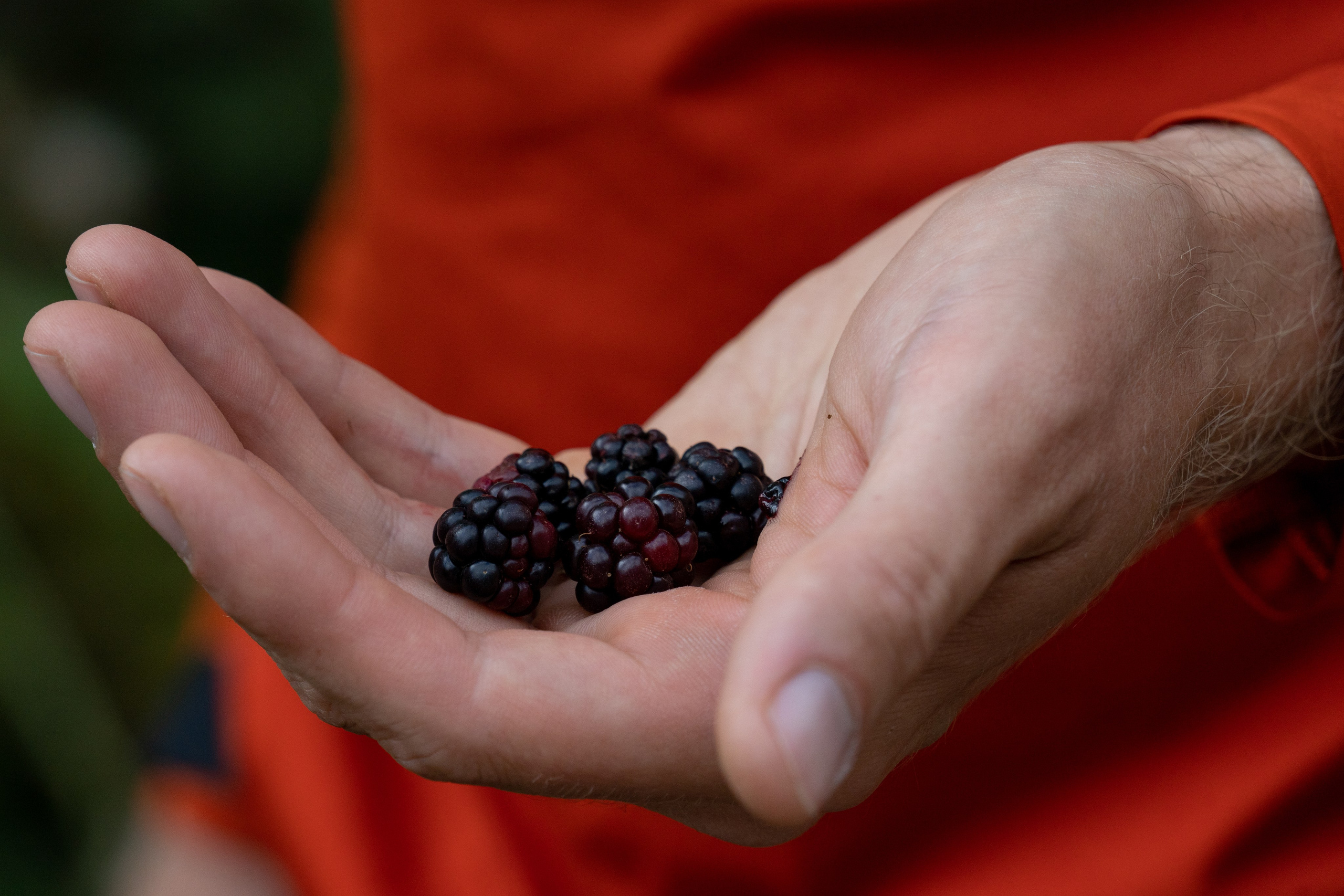Путешествия и пейзаж. Репортажный фотограф в Красной Поляне и Сочи Павлюченко Екатерина
