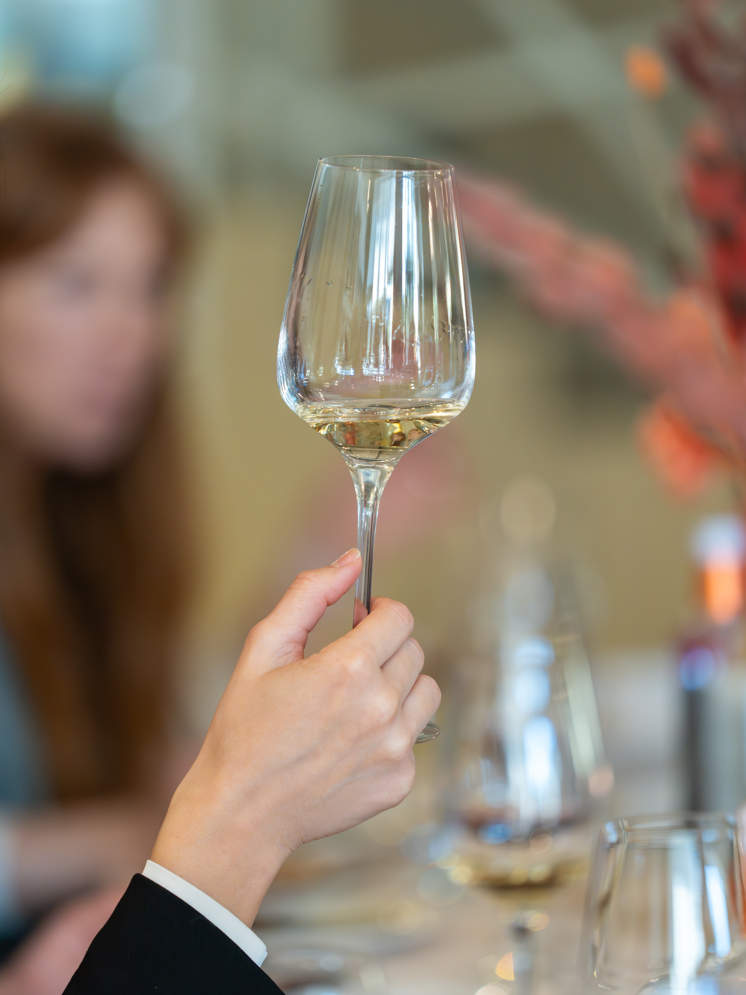 Литературная мастерская с Ольгой Шутовой в «Винотеррии». Репортажный фотограф в Красной Поляне и Сочи Павлюченко Екатерина