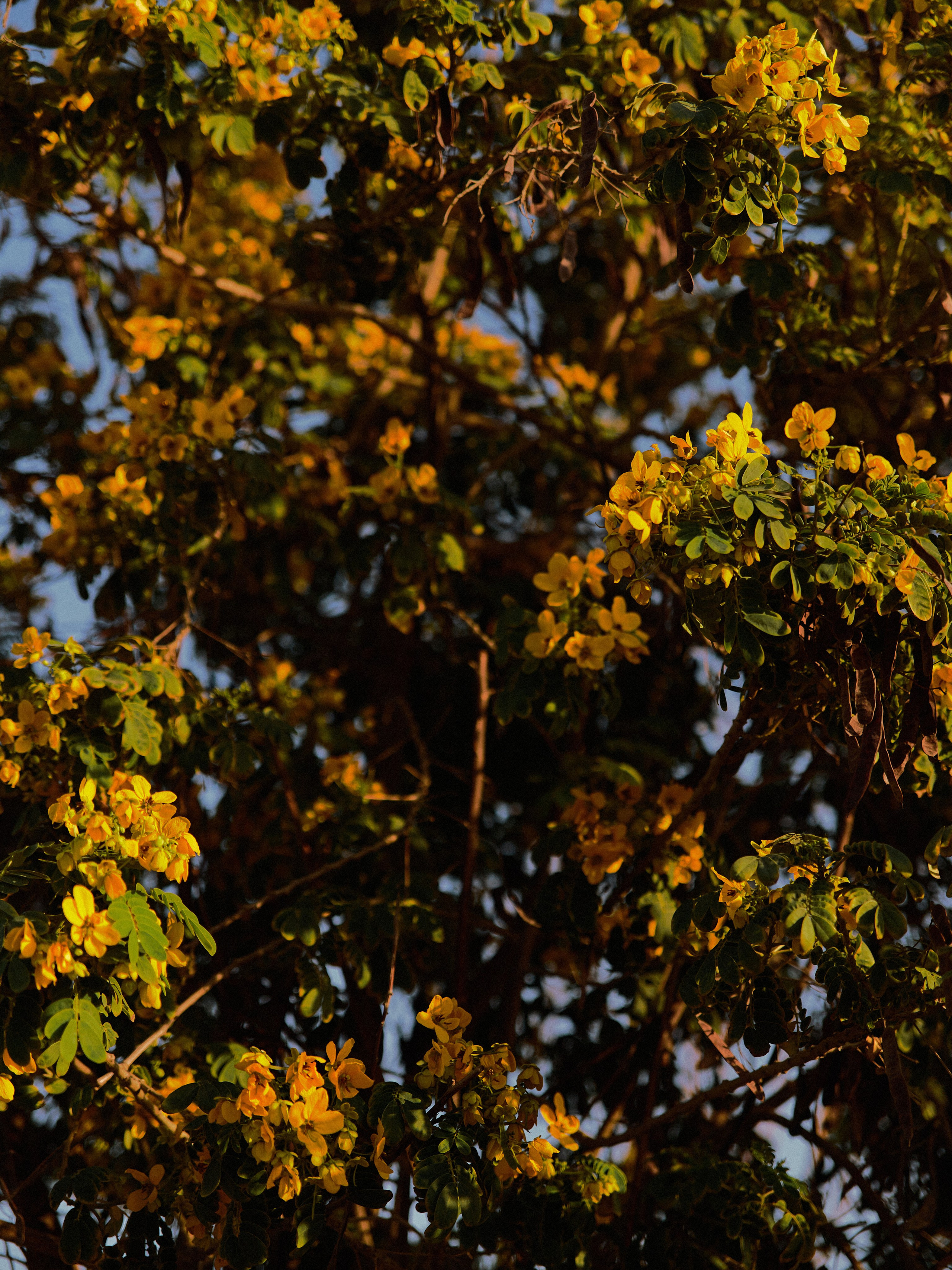 Природа. Jorgis Talè — photographer, kind person, teacher of arts and other mag