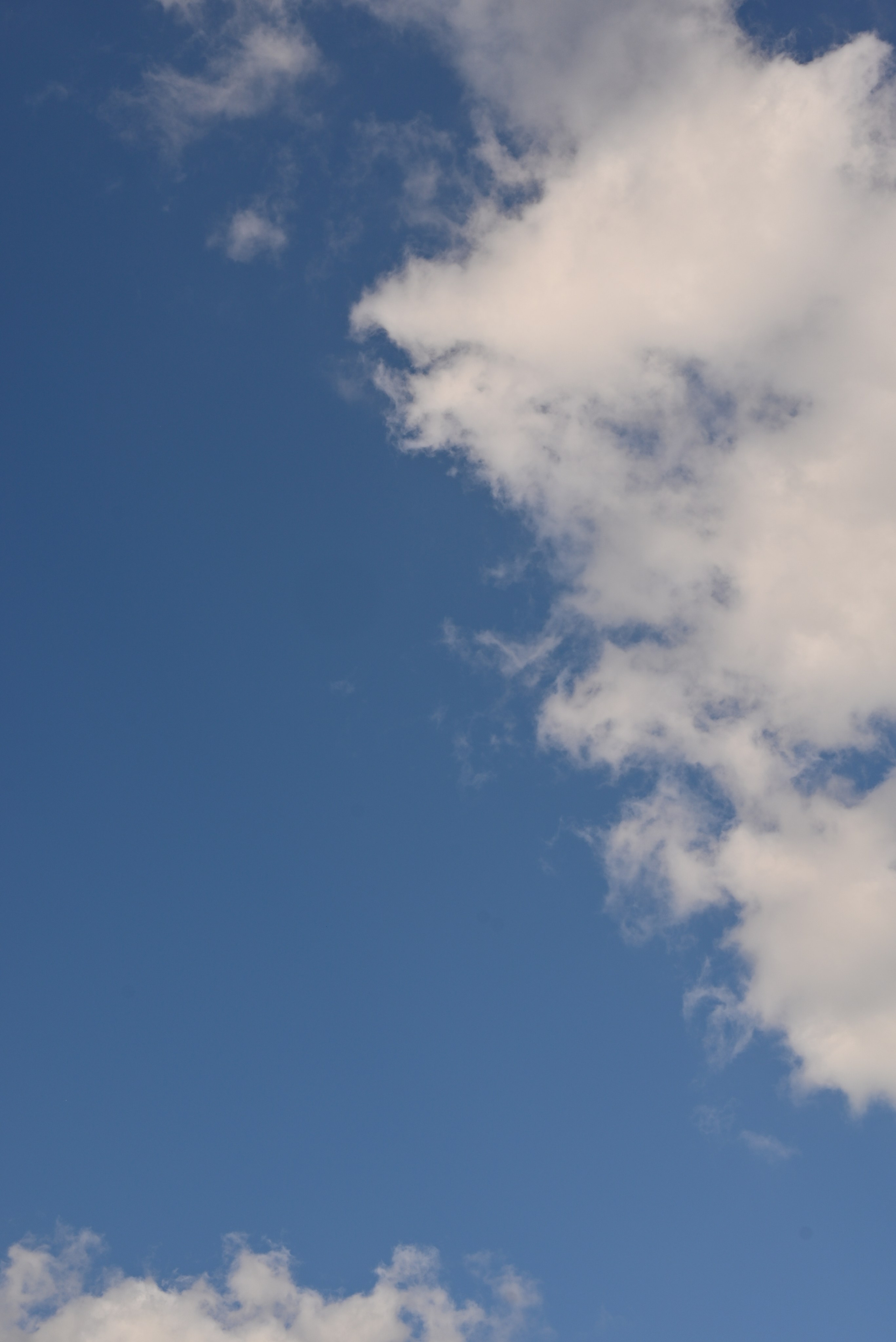 В гармонии с природой. Свадебный и семейный фотограф в Уфе Александров Максим