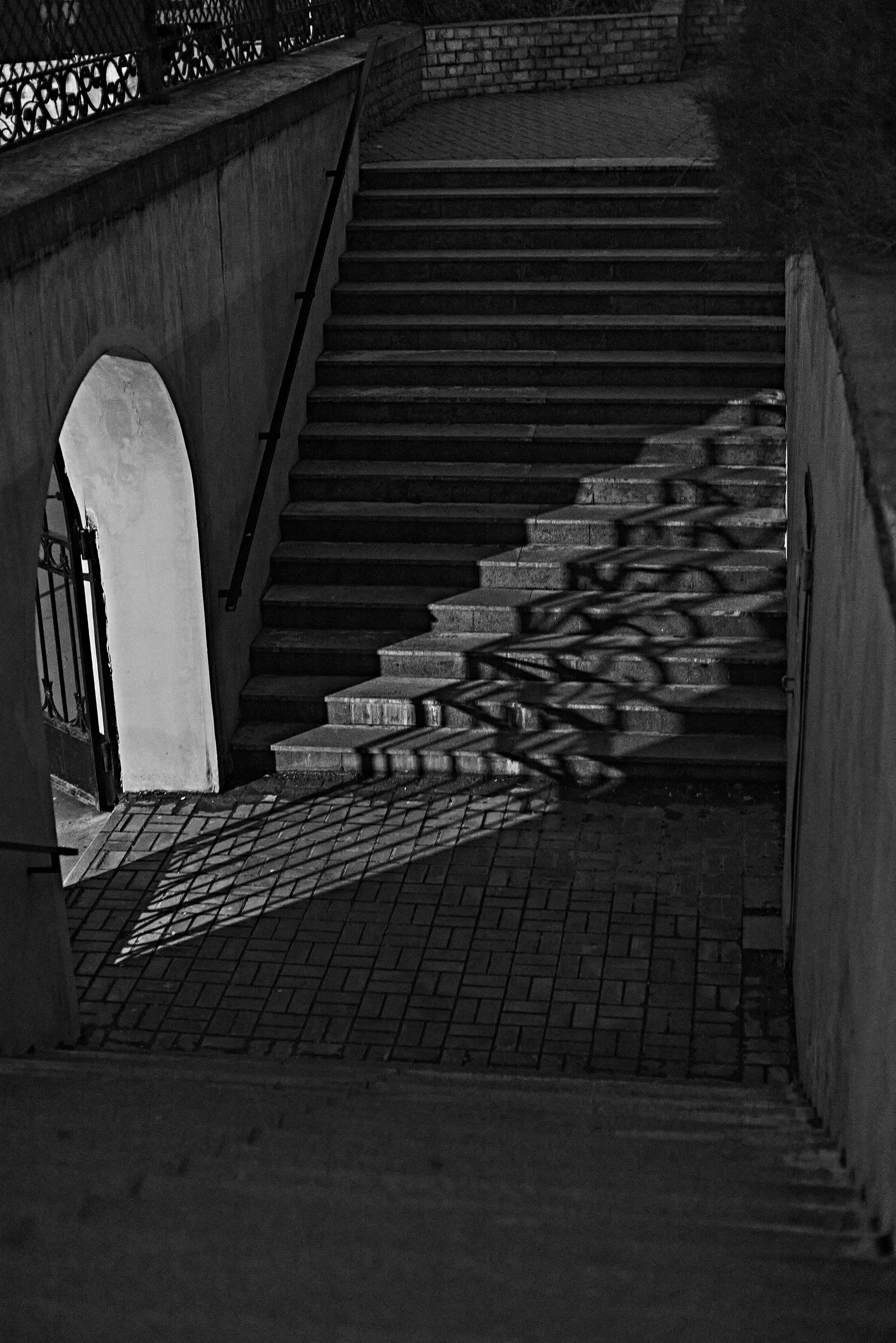 2024. Марфин. Фотограф