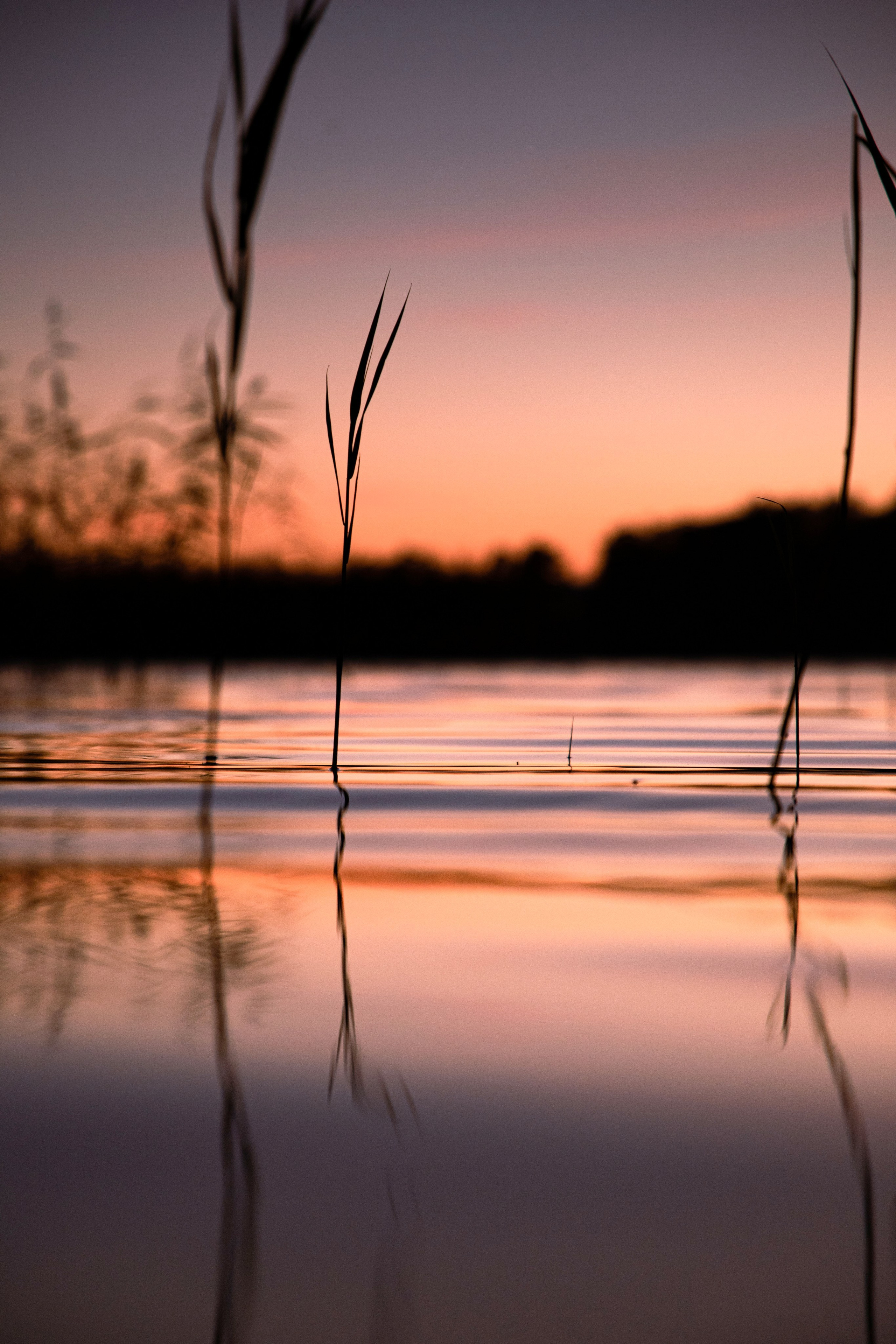 Вуокса. Фотограф Алексей Шуля — портфолио