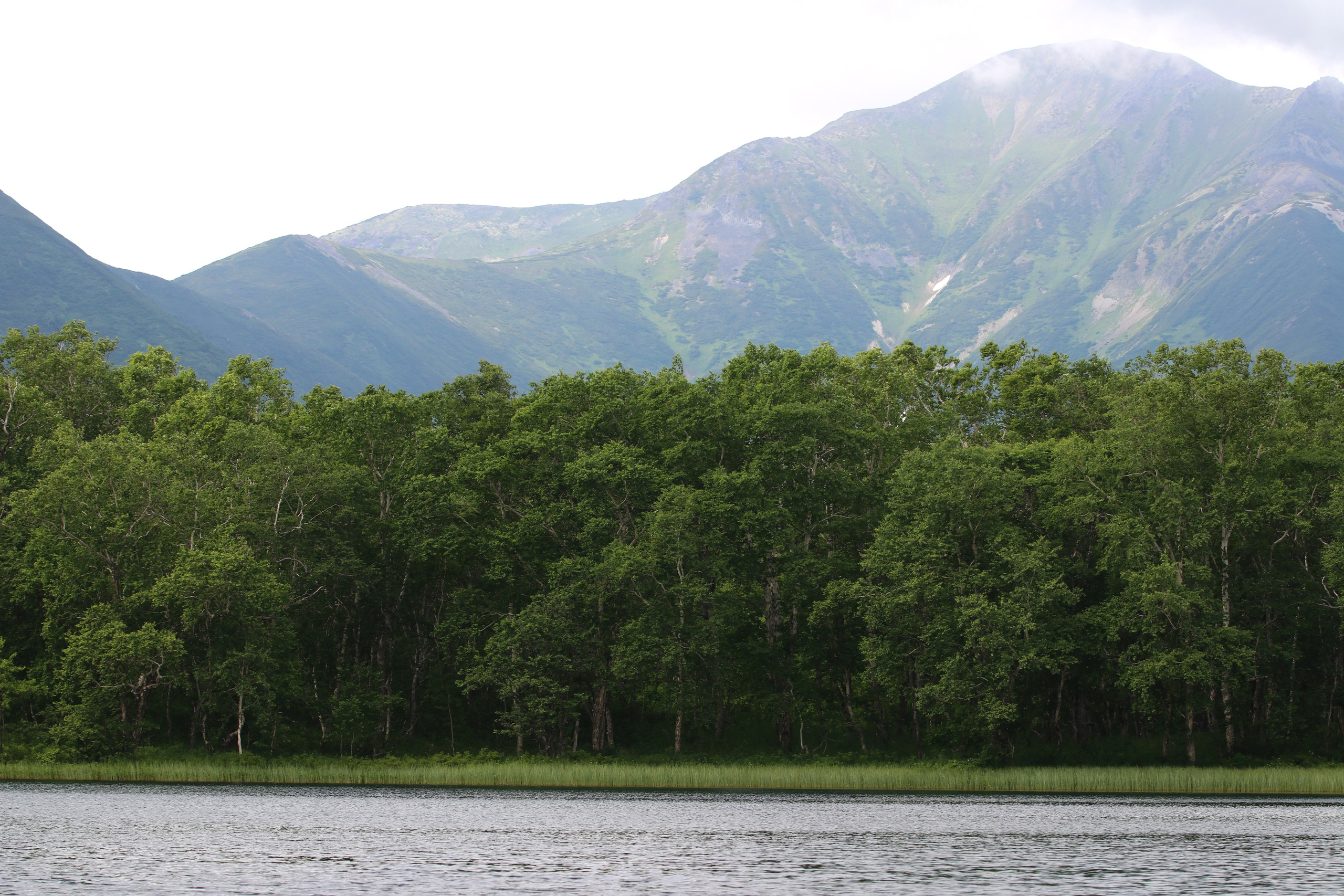 Камчатка и о. Парамушир. Июль 2024. Путешественник-фотограф из Санкт-Петербурга Татьяна Свистулина