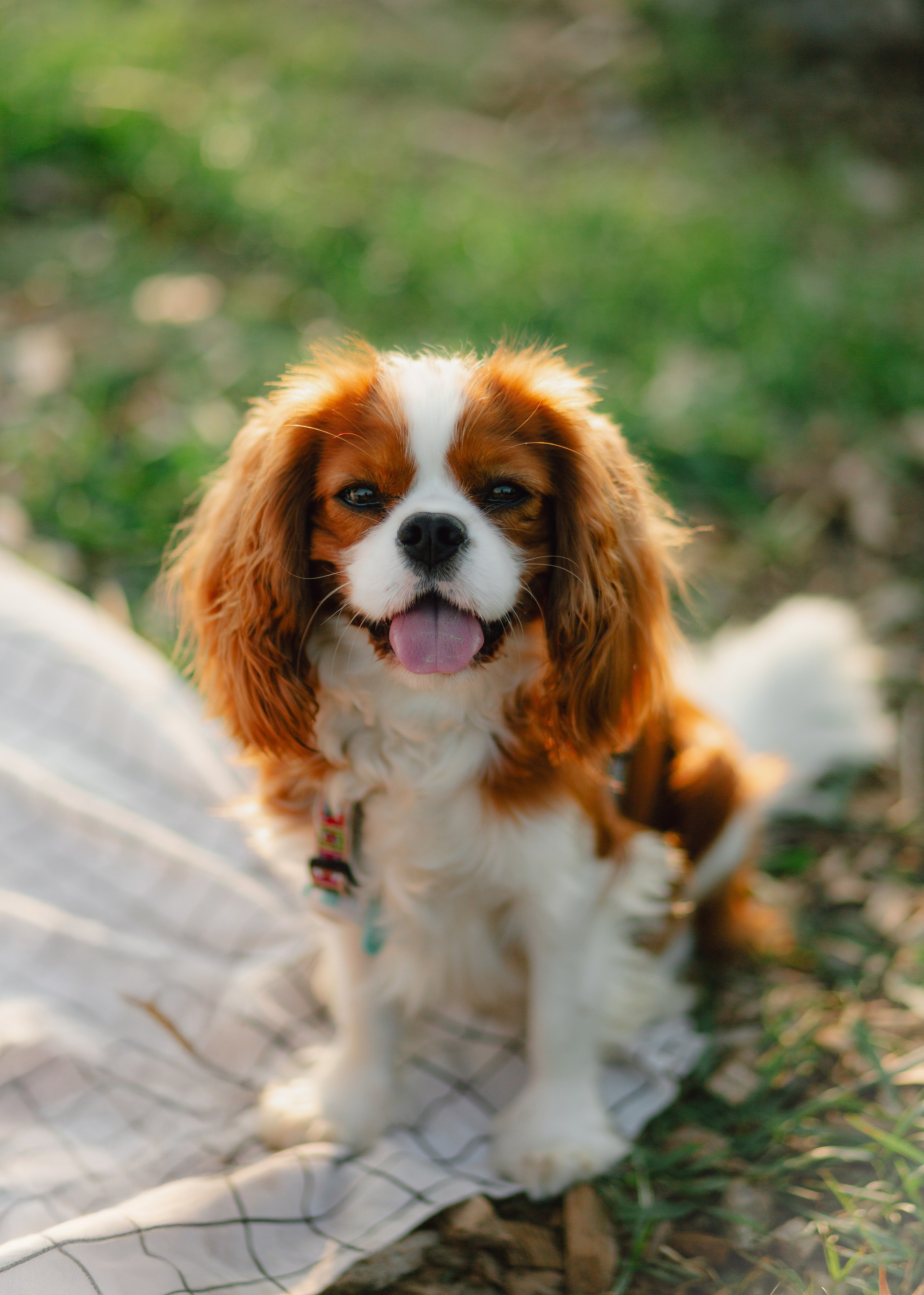 Ksenya & Her Loyal Jam. Barbara Isaeva