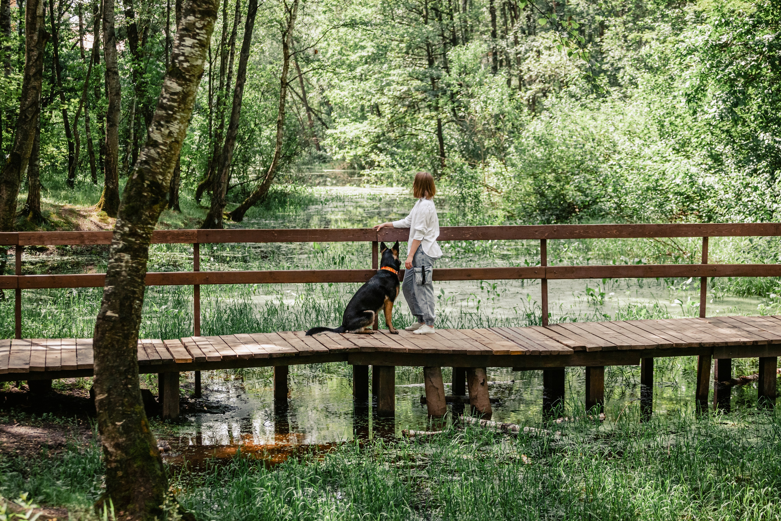 Лесная летняя фотопрогулка. Фотограф-анималист Татьяна Степанова