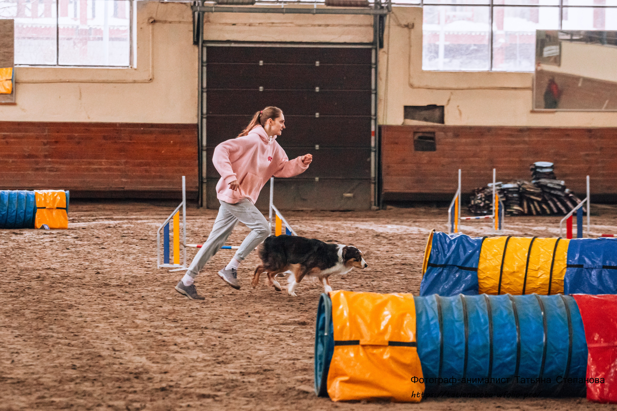 Соревнования по Аджилити 25.02.2024. Фотограф-анималист Татьяна Степанова