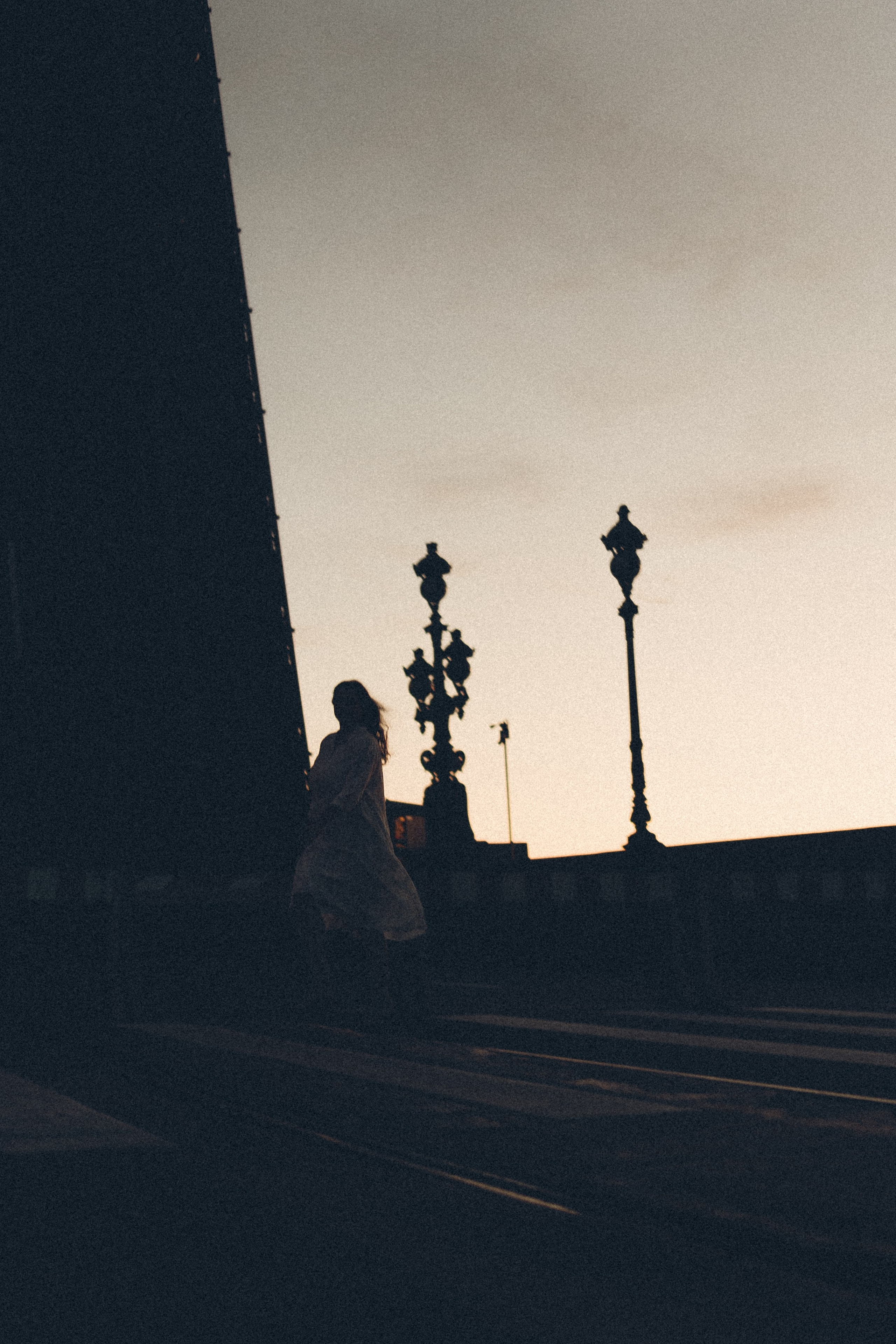 РАССВЕТ С РАЗВОДНЫМИ МОСТАМИ. Профессиональный фотограф, Санкт-Петербург — Виктория Богомолова