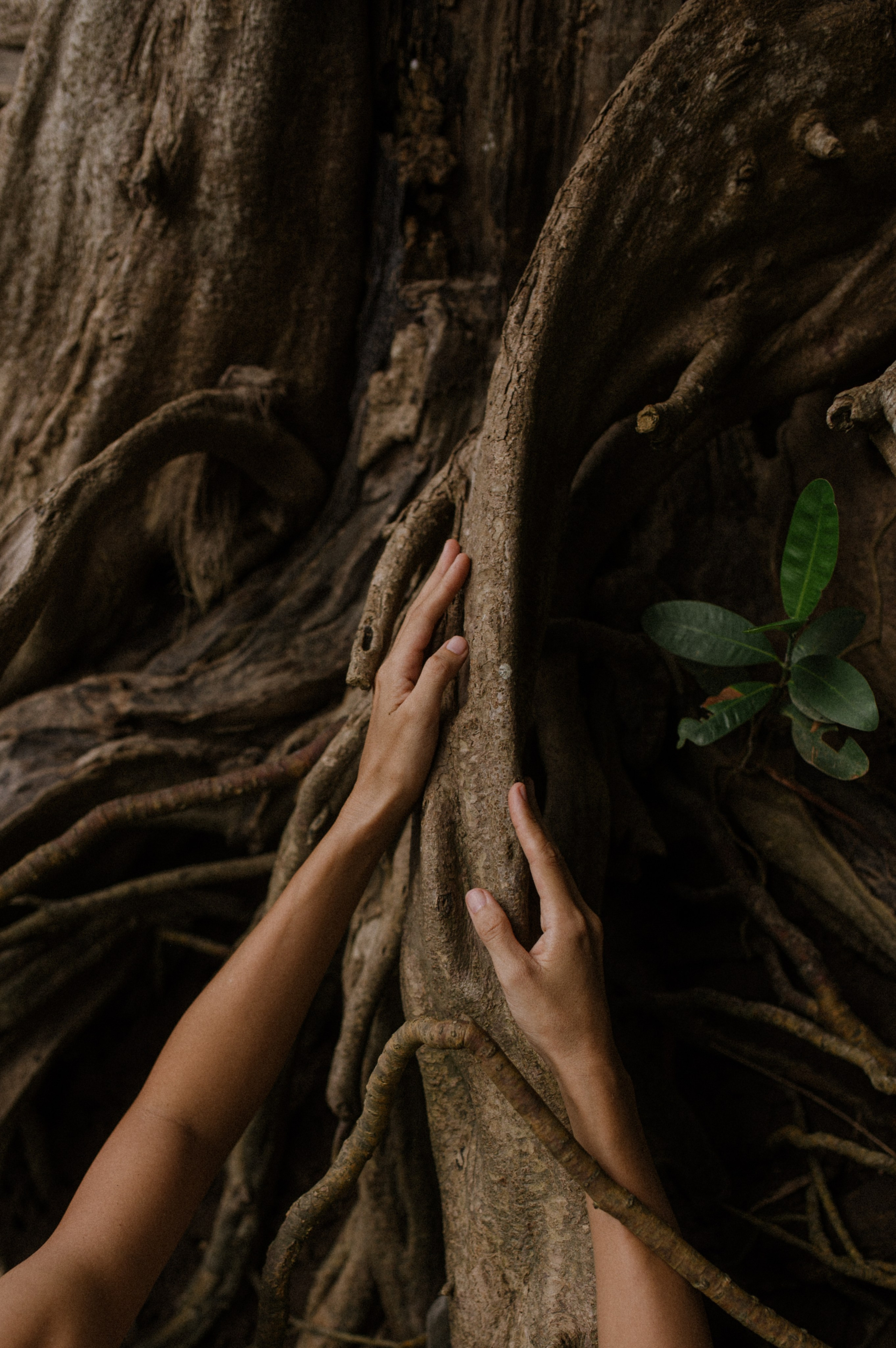 Портфолио. Фотограф Татьяна Кудряшова