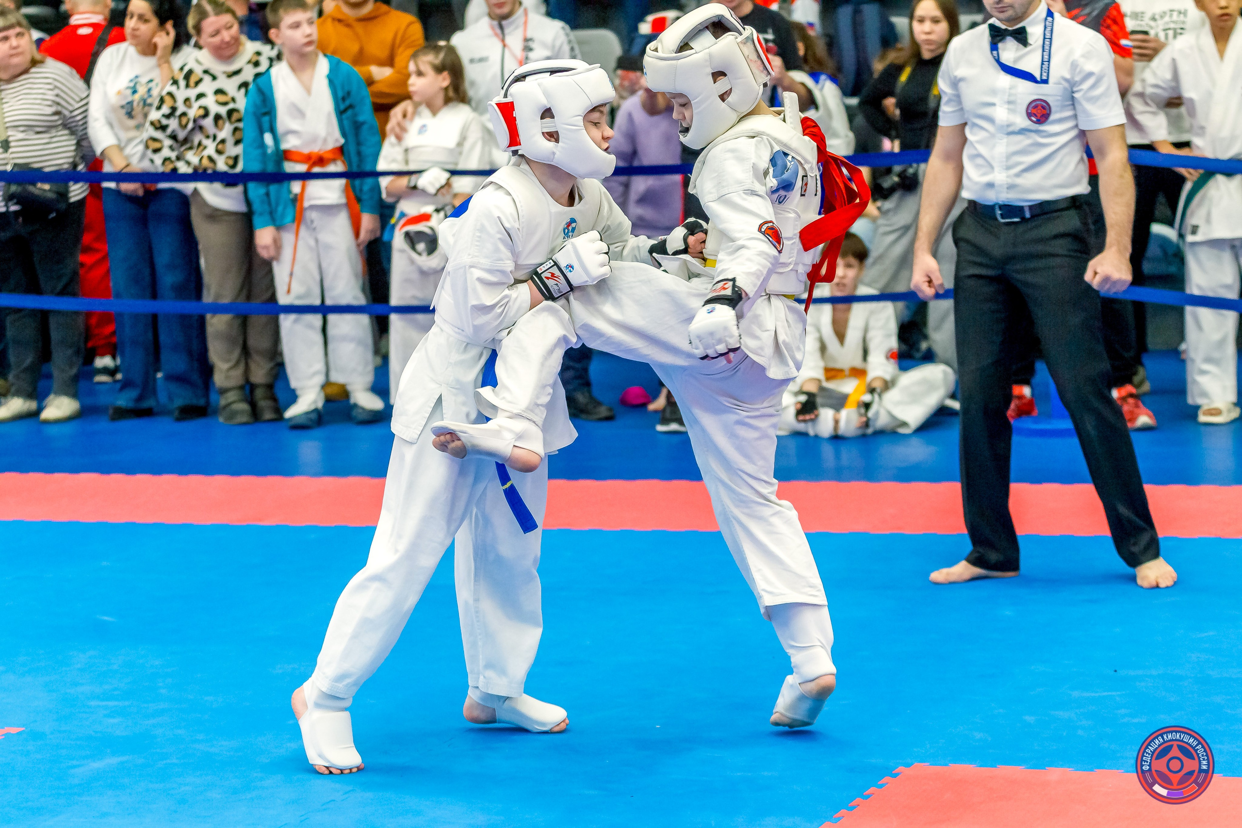 Международный турнир по киокушин «Открытый кубок Seiken». Репортажная съемка в Москве и области. Анималистика