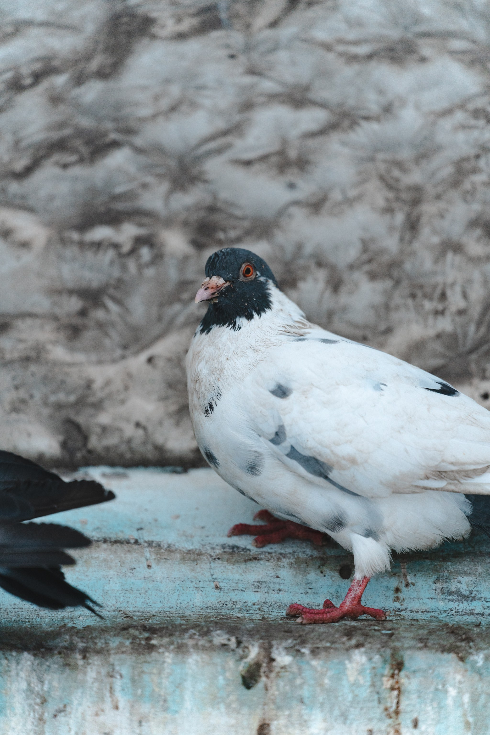 Воркута, Октябрь 2024