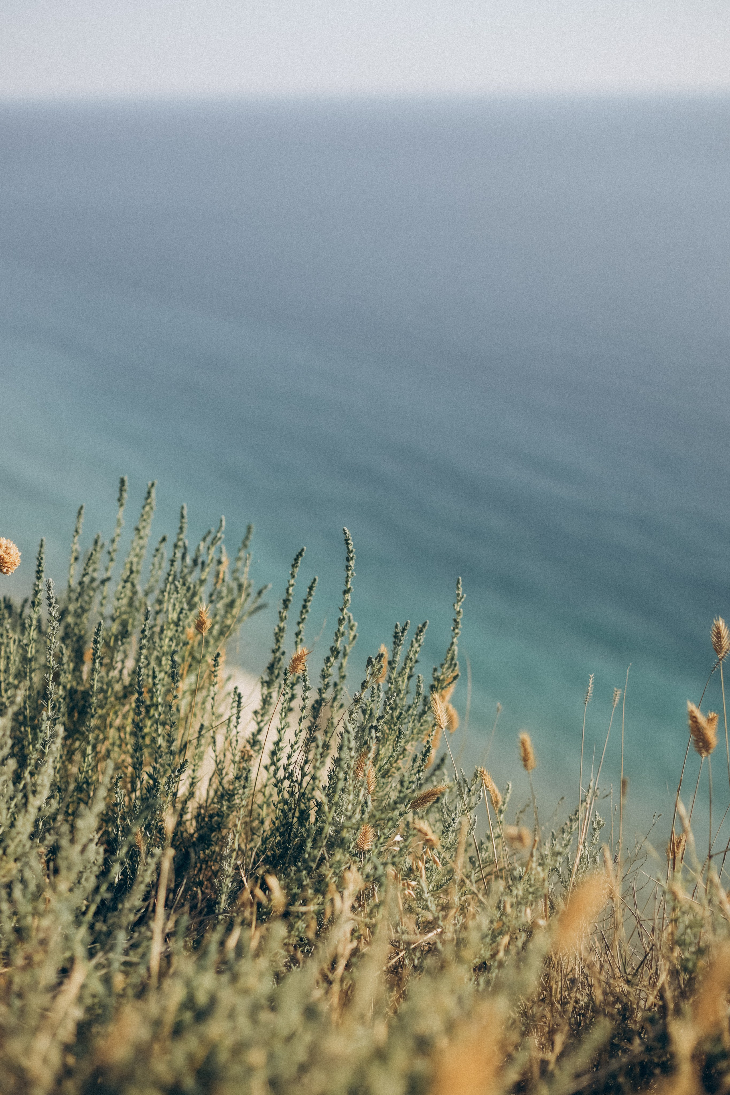 Сергей и Николь. Семейный фотограф Анапа