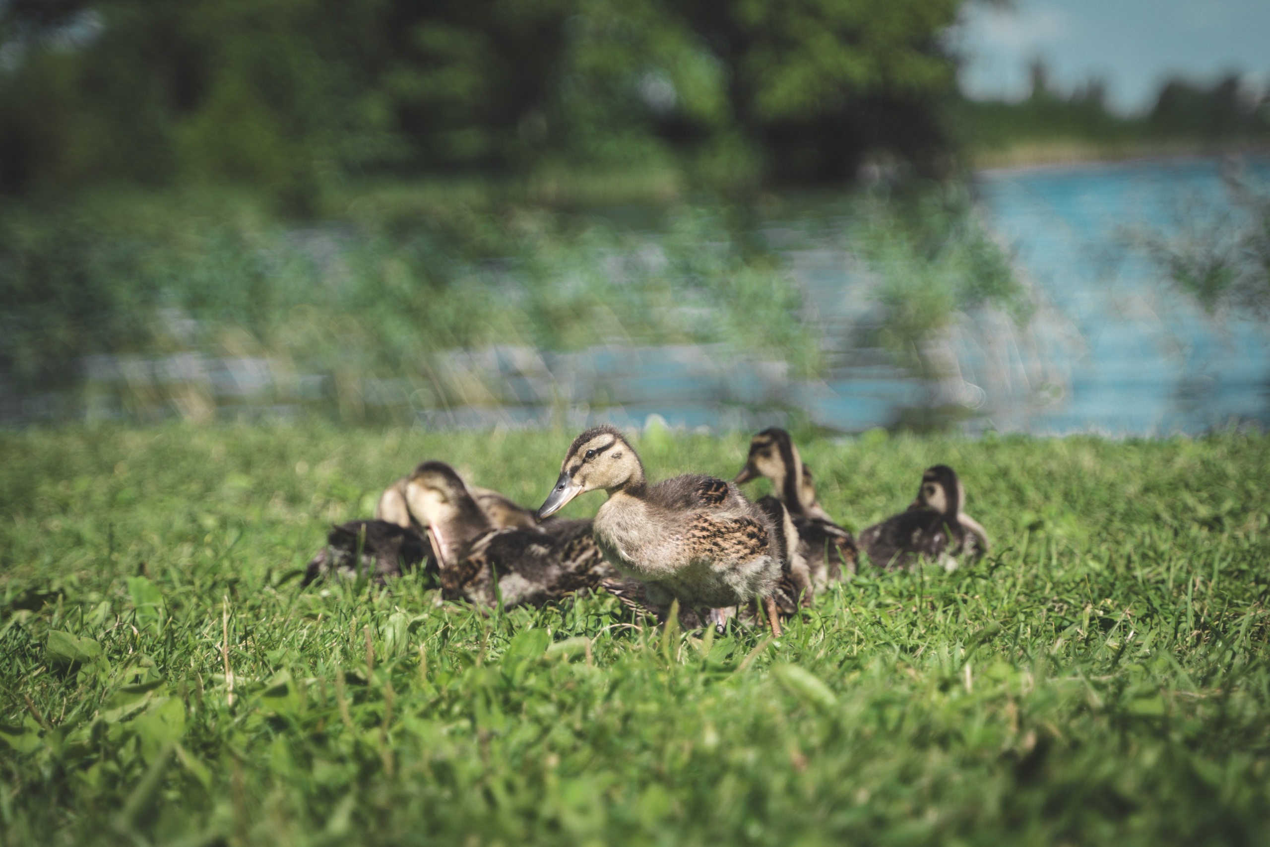 Проект «Человек локальный.Русский Север». Репортажный фотограф в Санкт-Петербурге Евдокимова Ольга