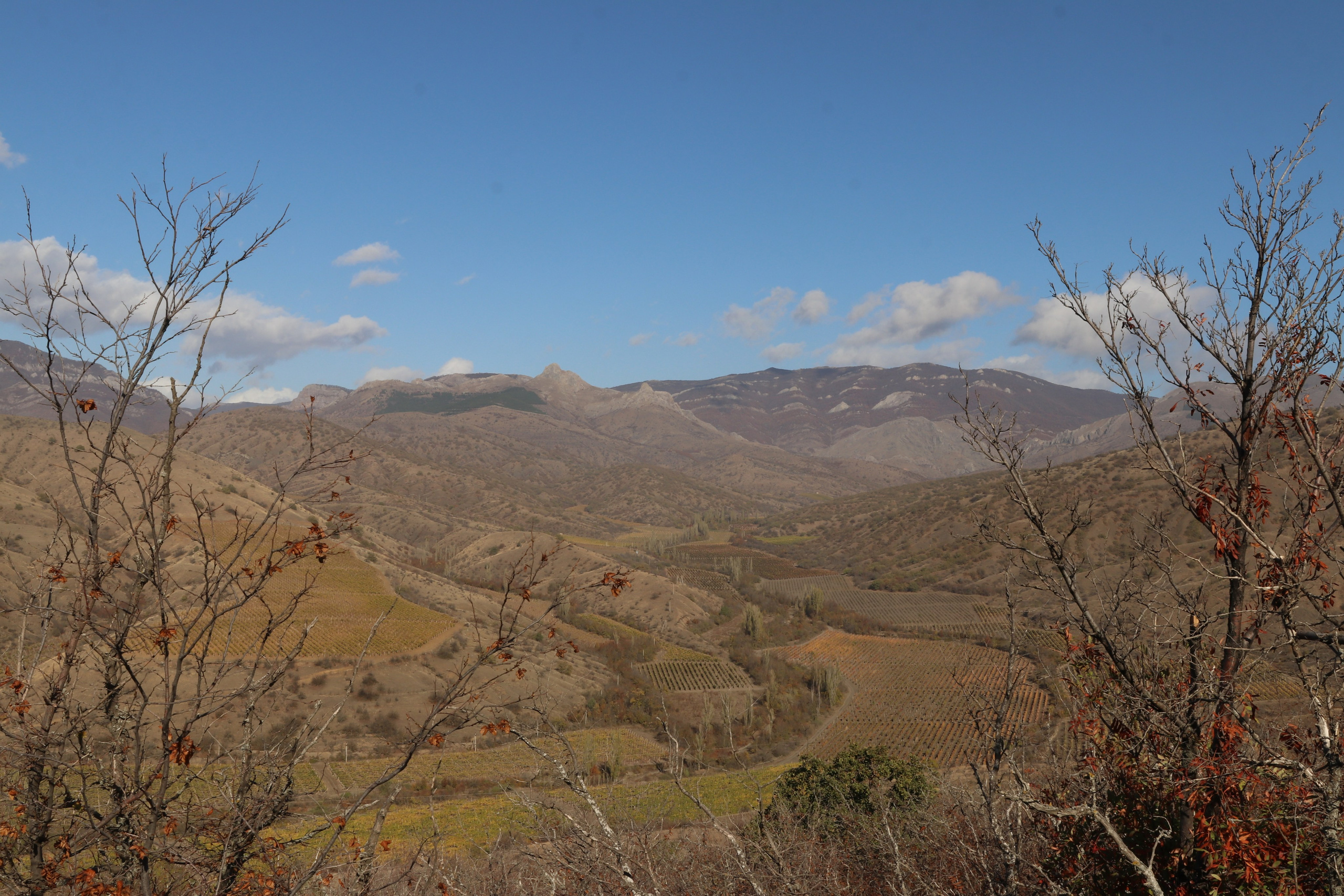Крым. ЮБК (Гурзуф, Судак и их окрестности). Ноябрь 2023. Путешественник-фотограф из Санкт-Петербурга Татьяна Свистулина